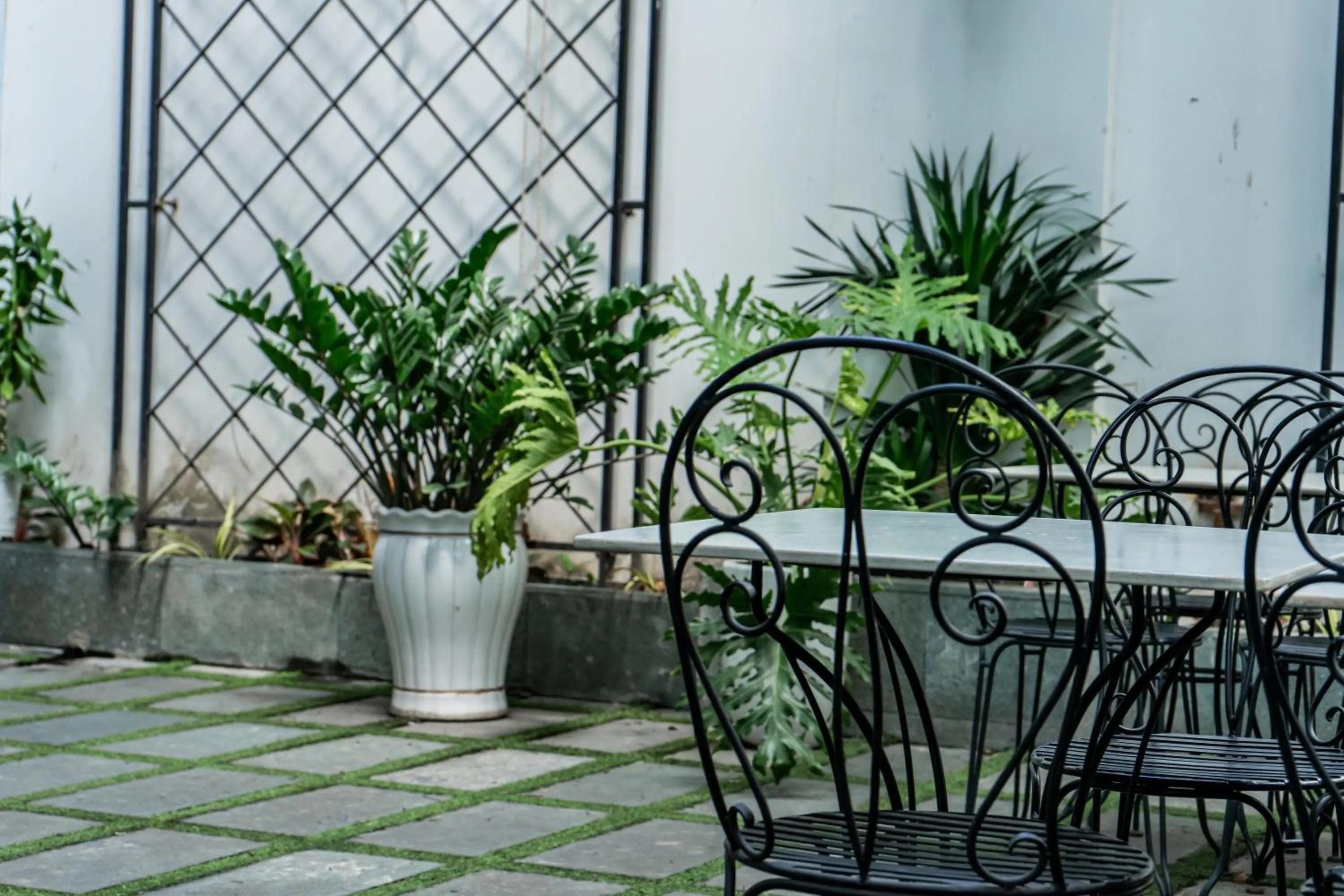 Garden in Ciao SaiGon Hotel & Spa