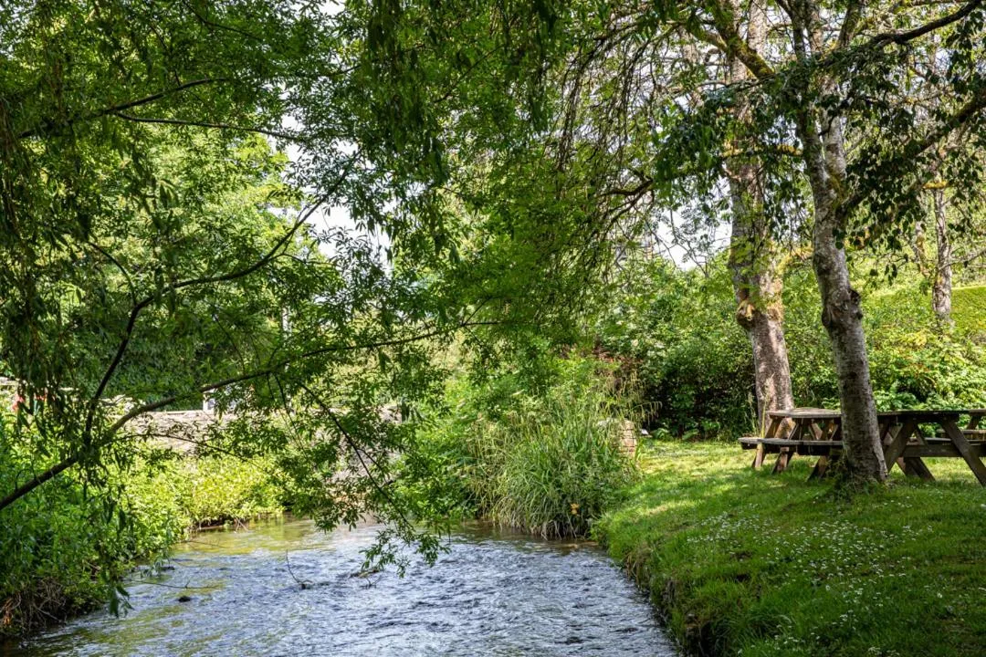 Garden in The Bathurst Arms