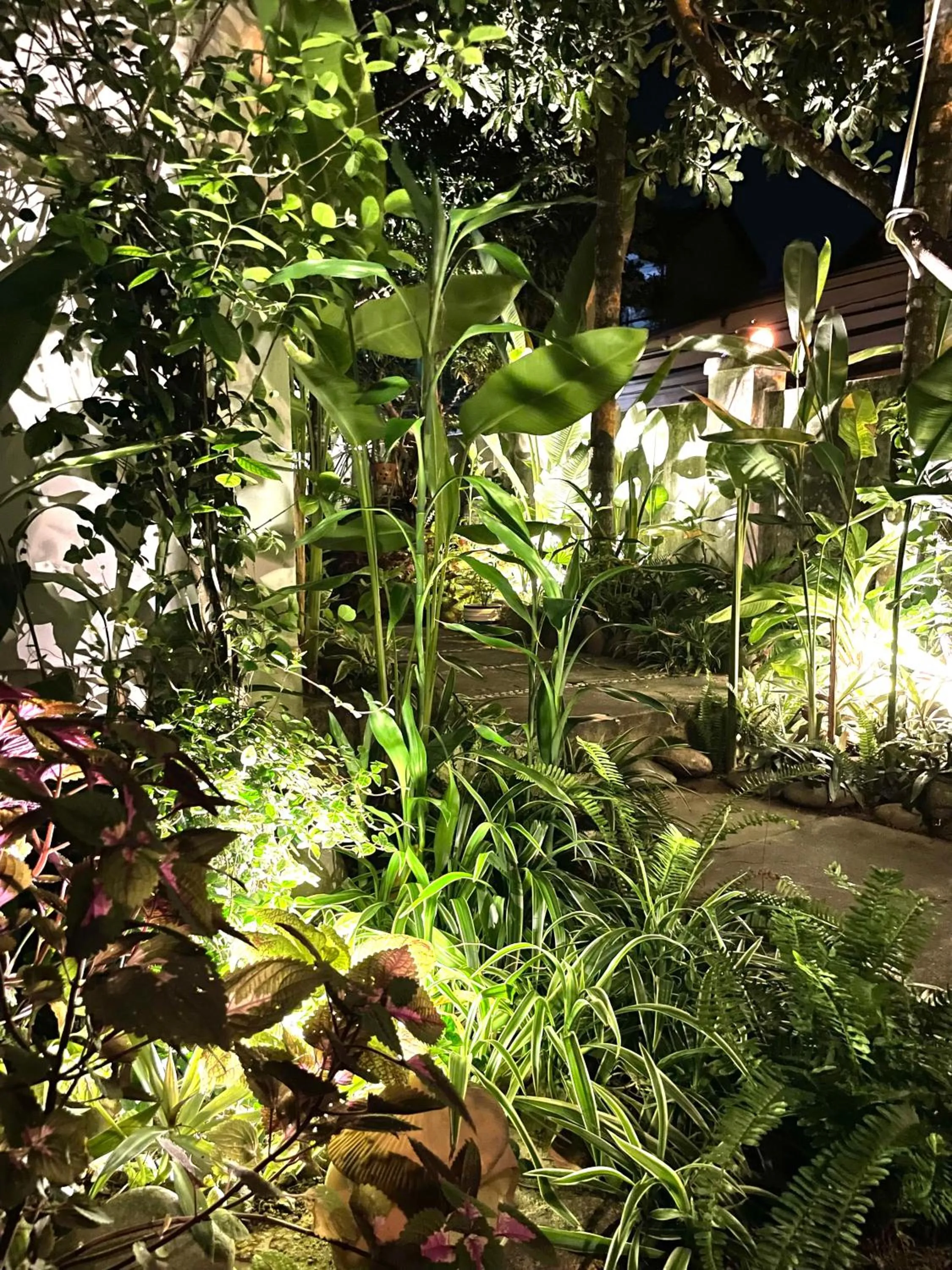 Garden in Sunny Garden Homestay