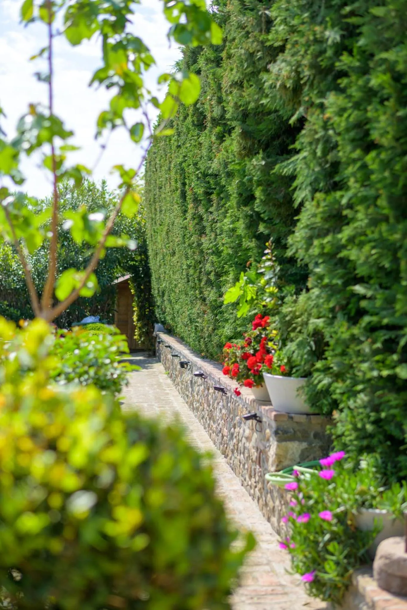 Oikies Small Elegant Houses