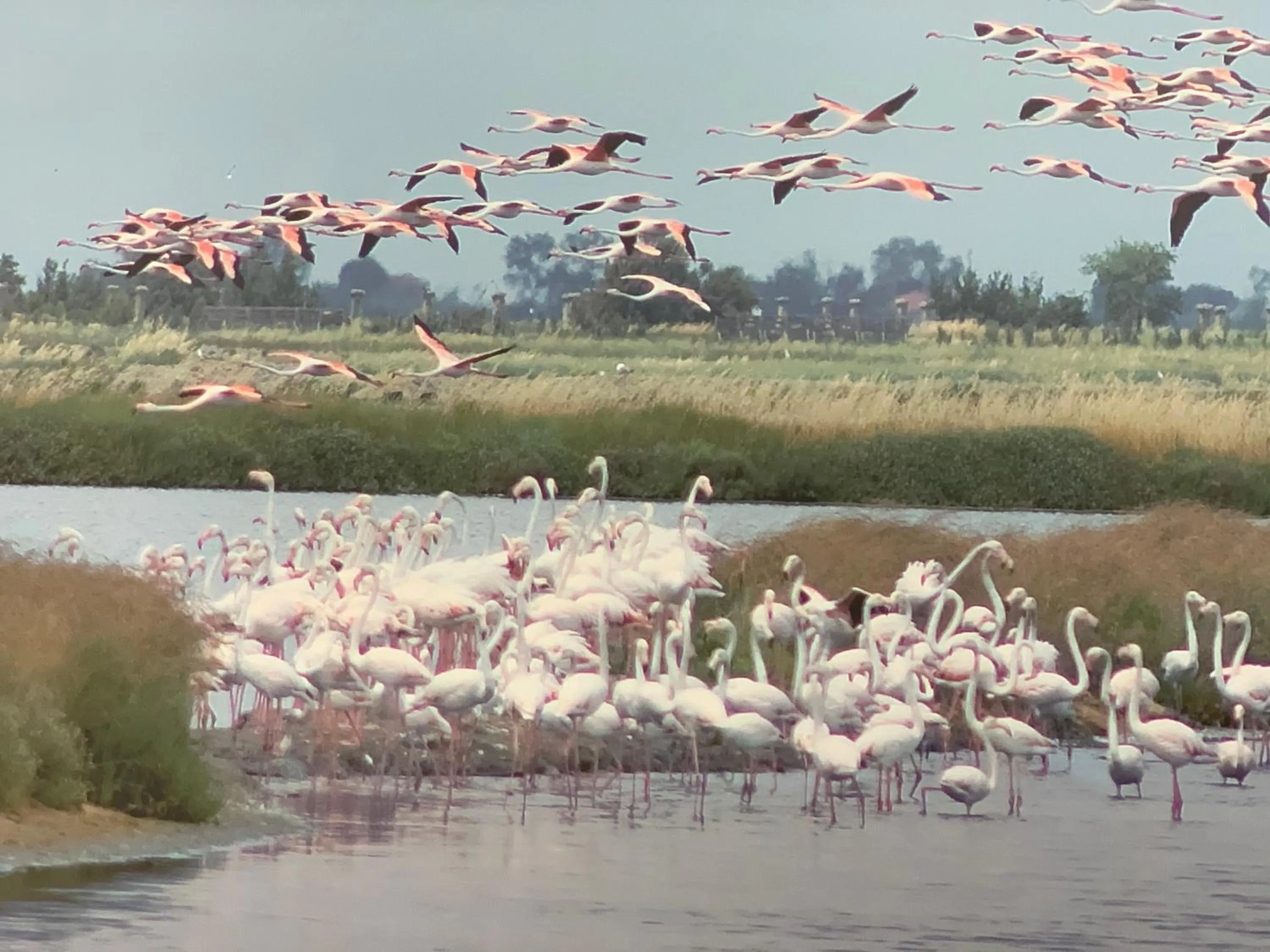 Other in Hotel Ficocle