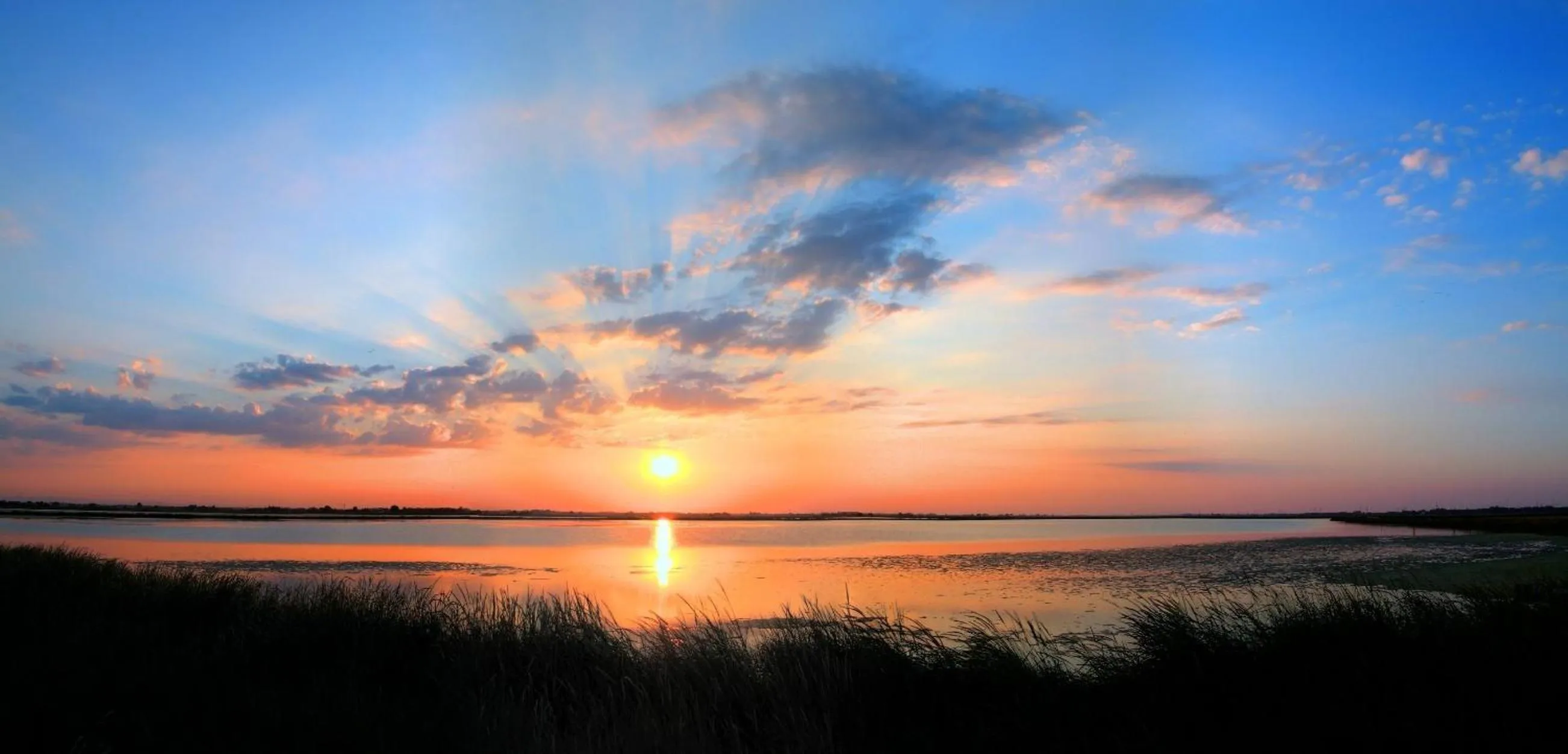 View (from property/room) in Hotel Ficocle