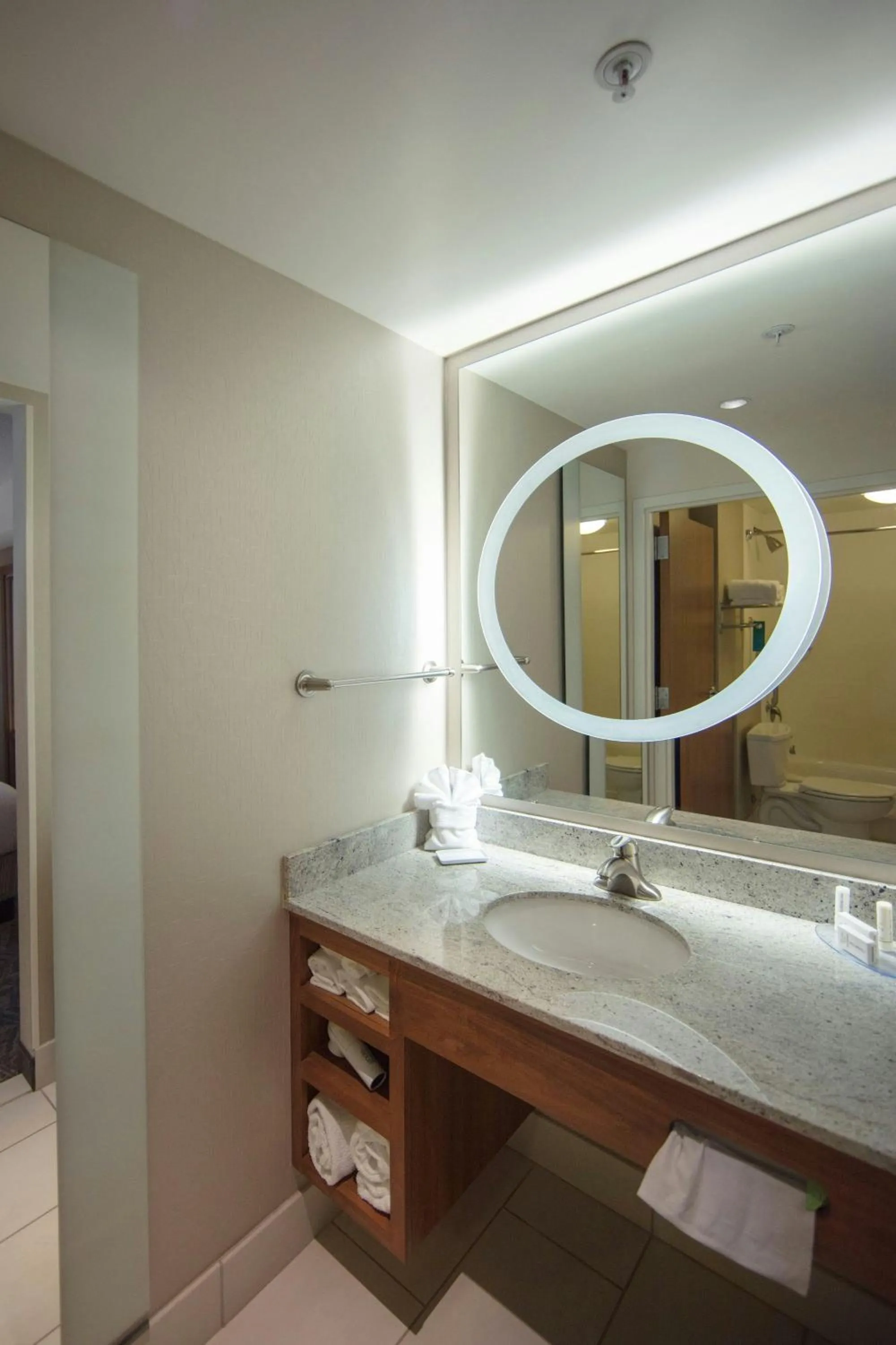 Bathroom in SpringHill Suites by Marriott Athens West