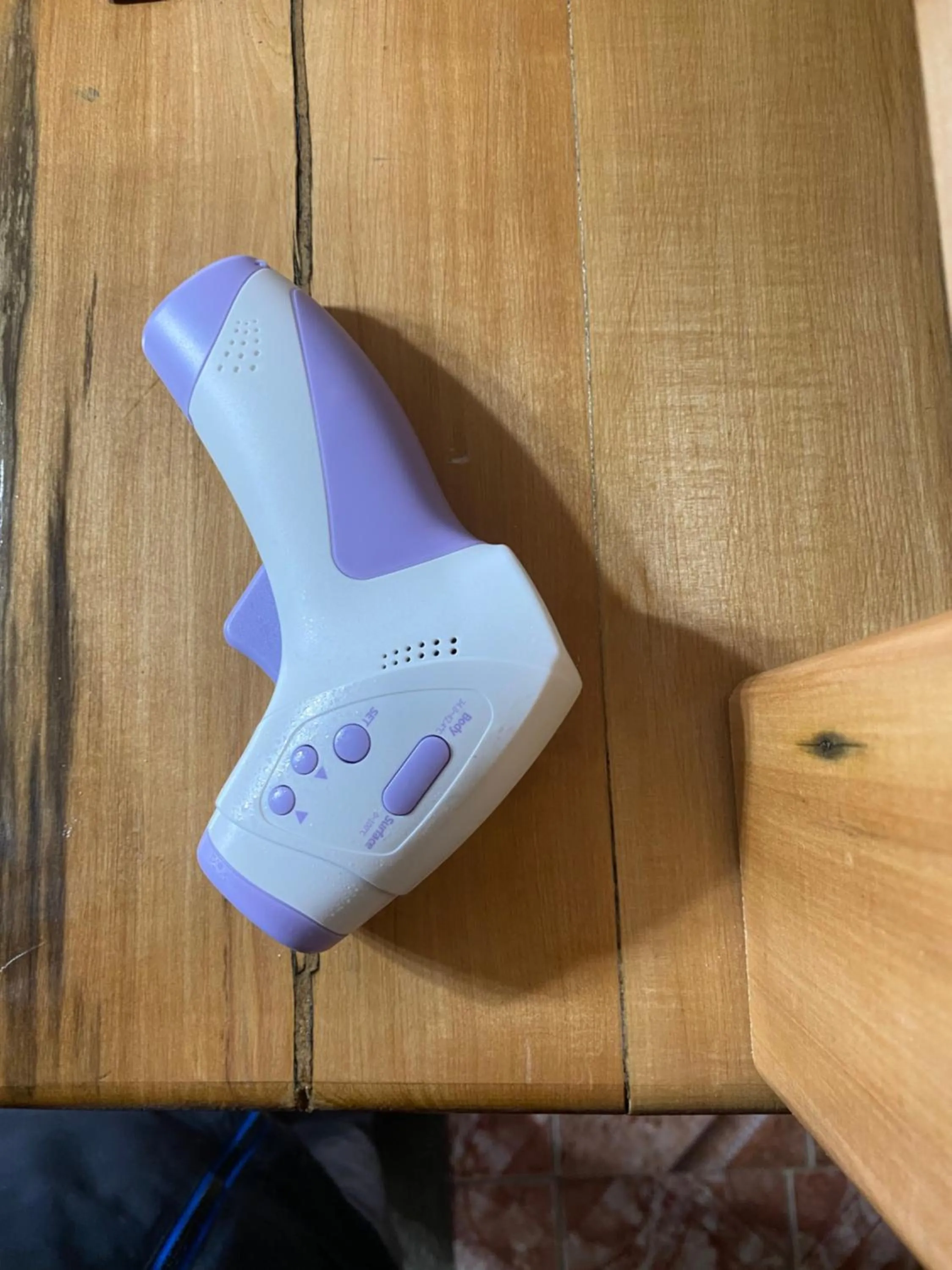 Activities in Hotel Forjadores del Cabo de Hornos