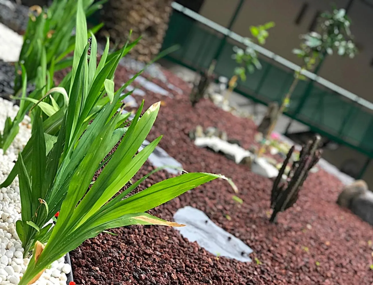 Garden in Hotel Rural Triana