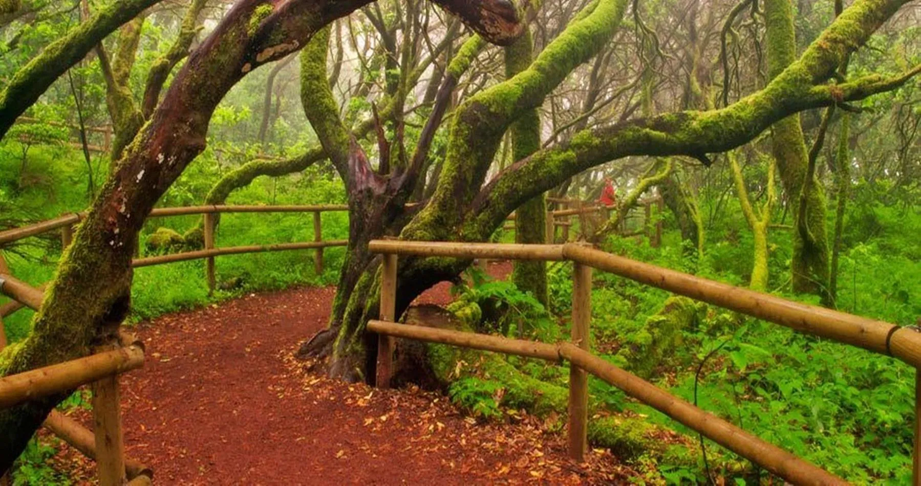 Hiking in Hotel Rural Triana