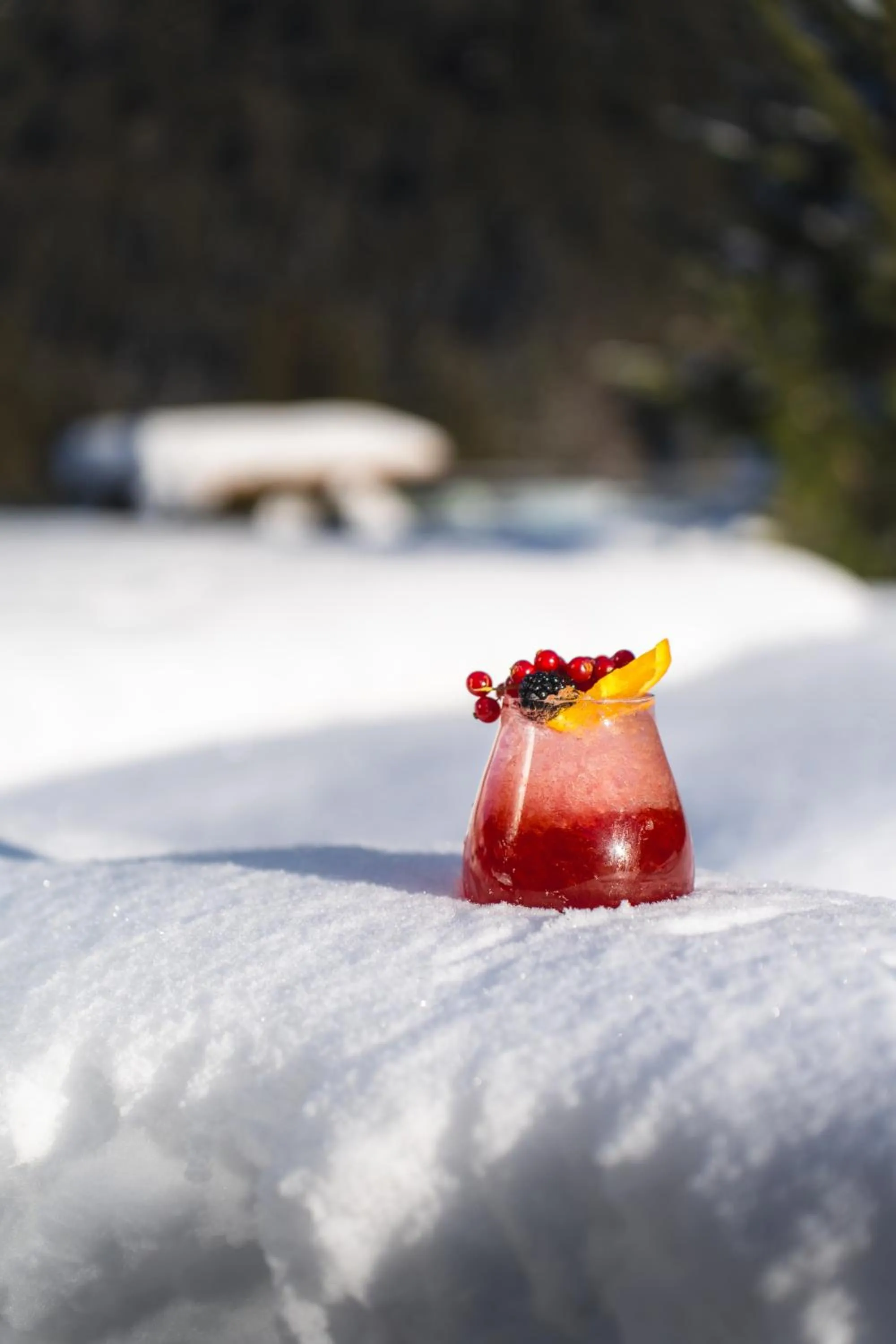 Day in Alpinhotel Berghaus spa