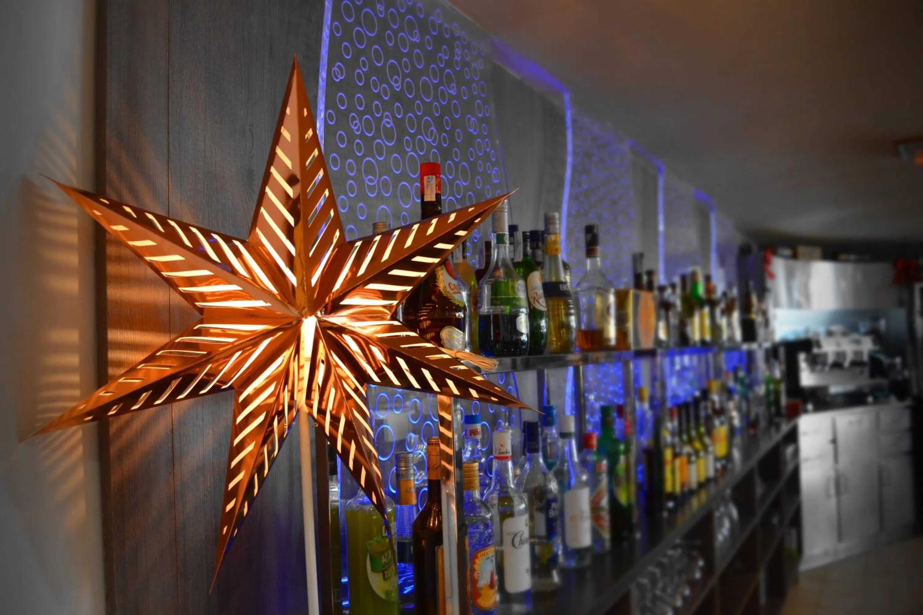 Alcoholic drinks in Hotel Alone