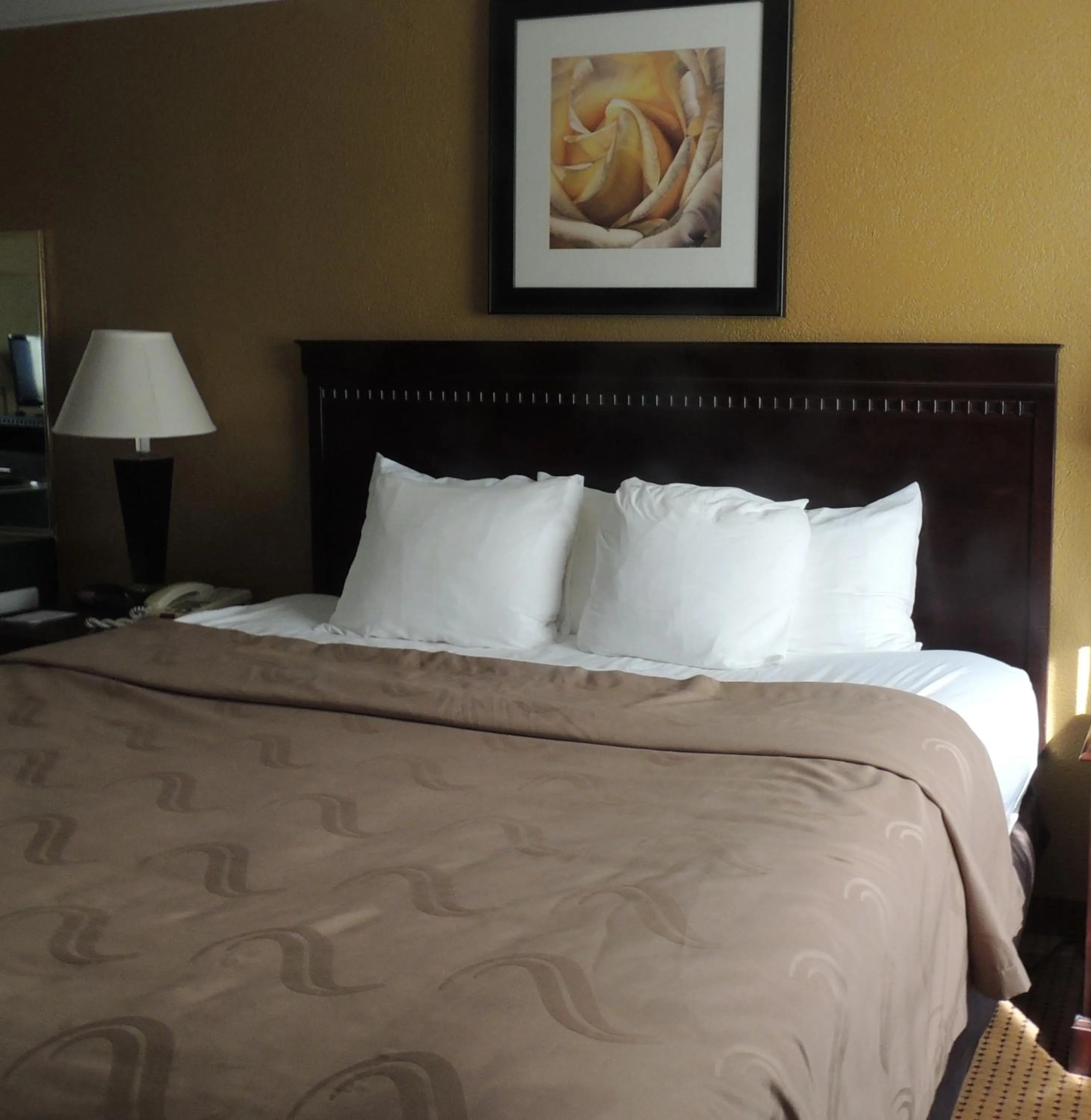 Bed in Quality Inn & Suites Syracuse Fairgrounds