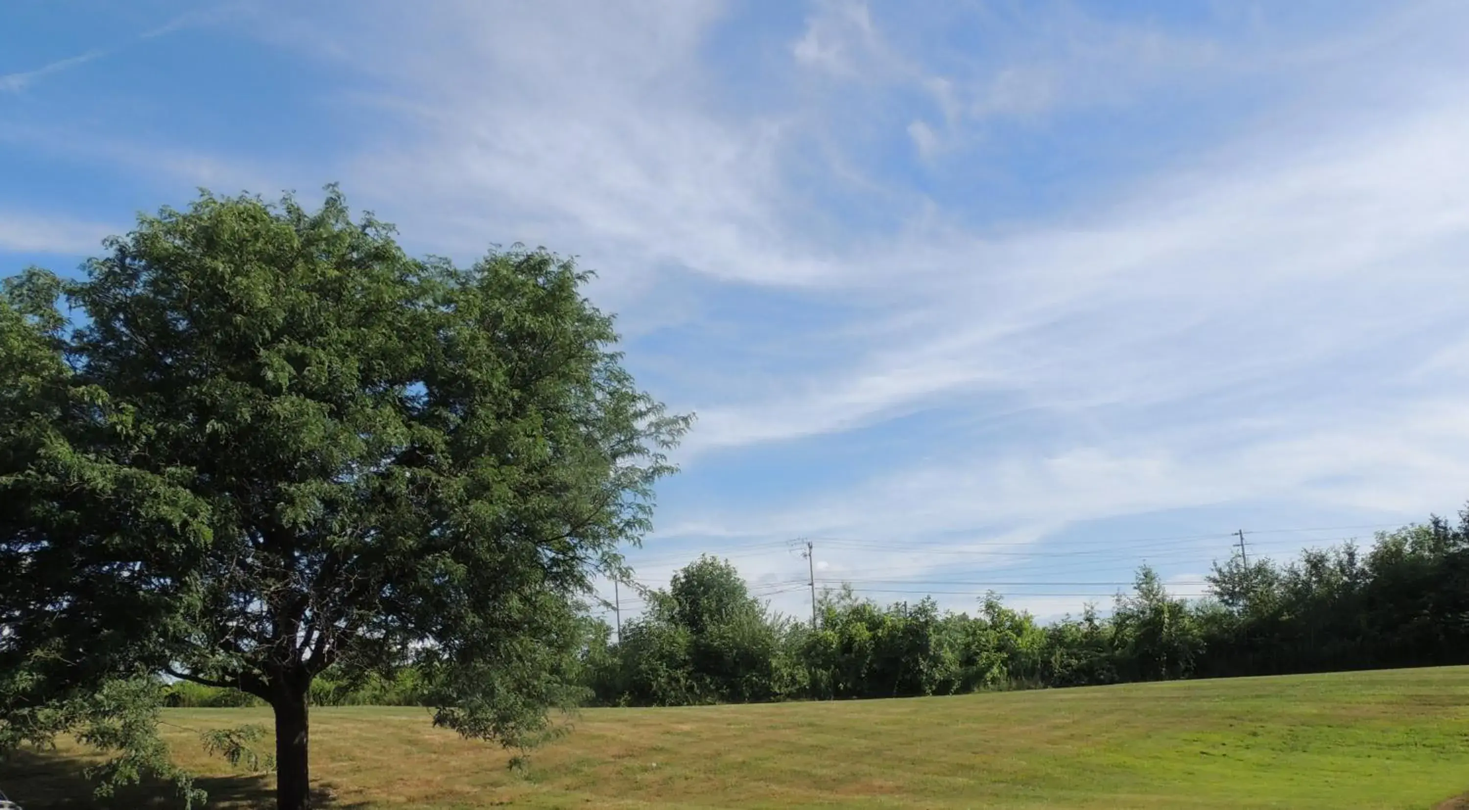 View (from property/room) in Quality Inn & Suites Syracuse Fairgrounds View (from property/room) in Quality Inn & Suites Syracuse Fairgrounds