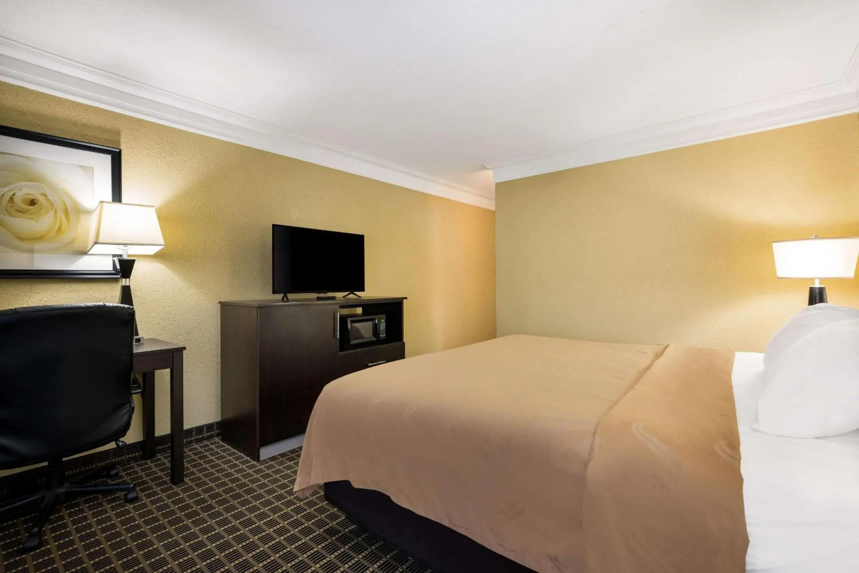 Bedroom, Bed in Quality Inn & Suites Syracuse Fairgrounds Bedroom, Bed in Quality Inn & Suites Syracuse Fairgrounds