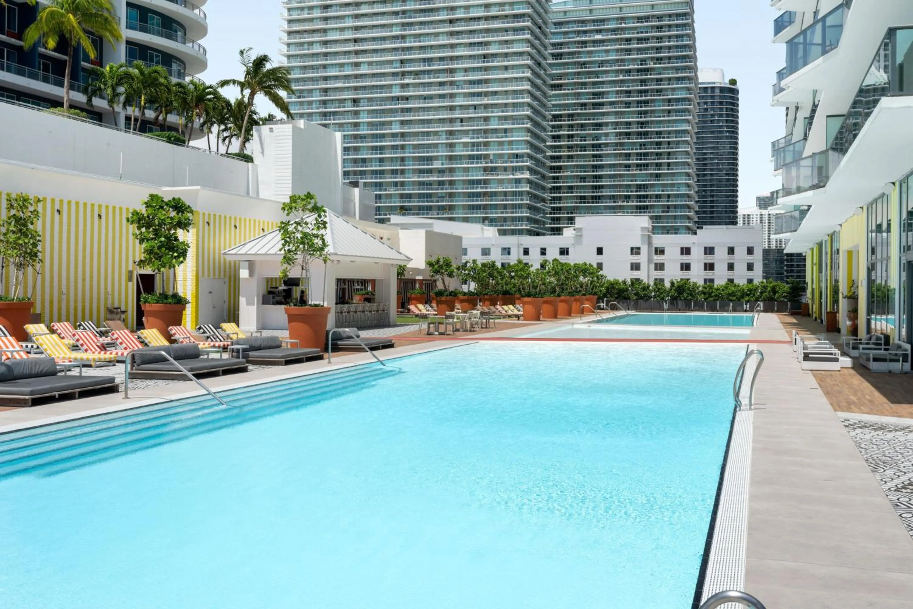 Swimming pool in Dua Miami, Autograph Collection