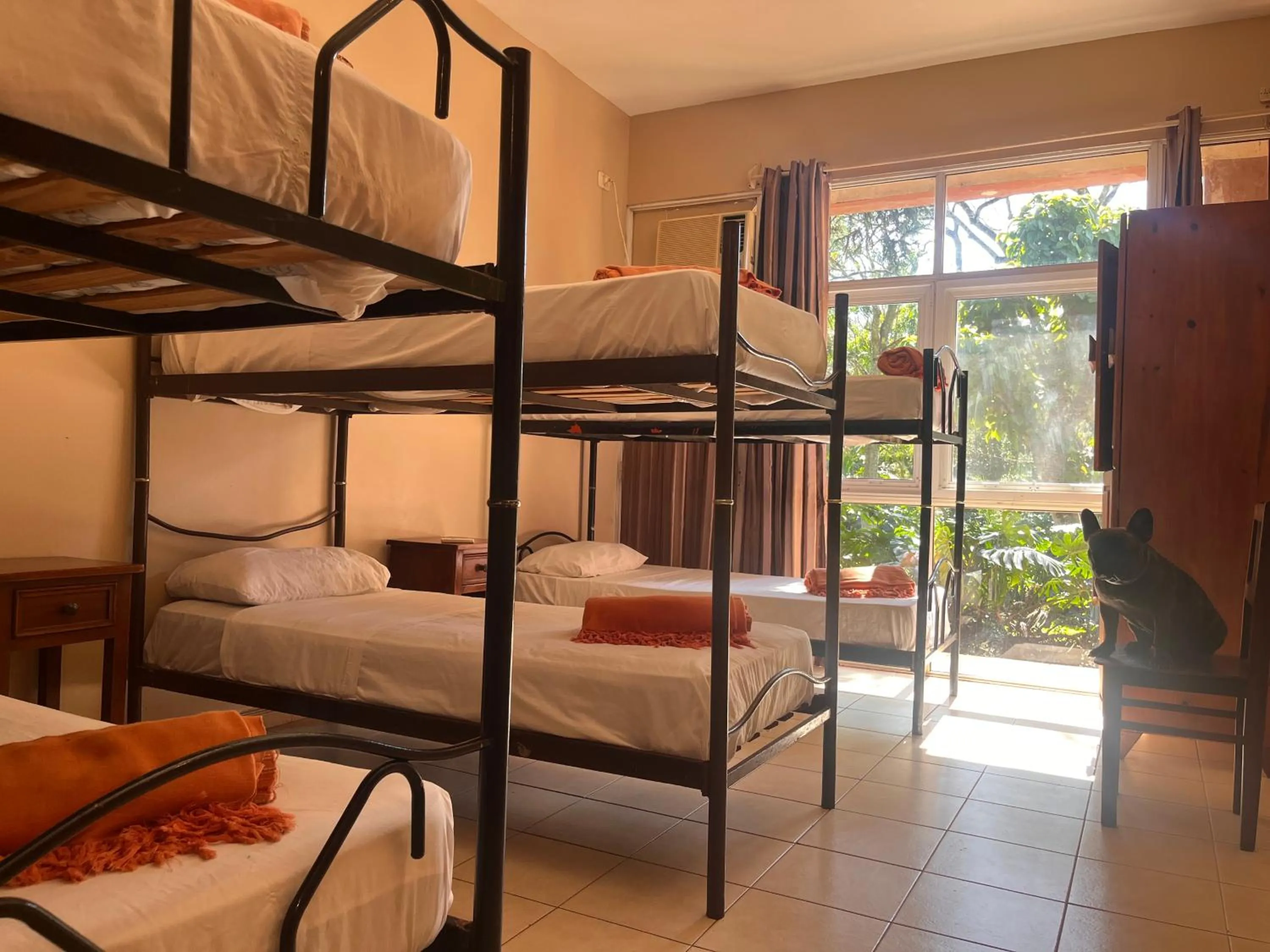 bunk bed, Bed in Beer Hotel Iguazú