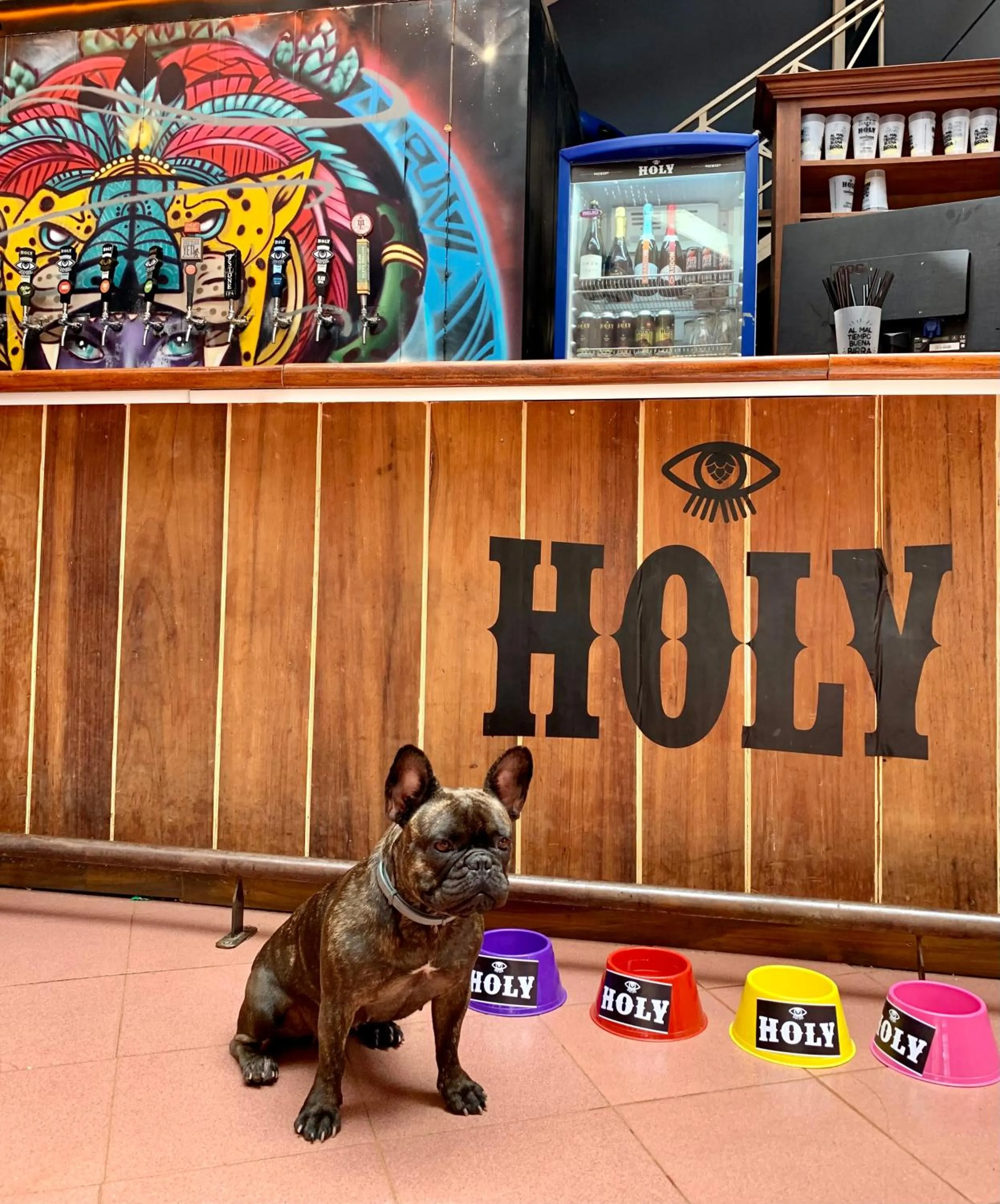 Pets in Beer Hotel Iguazú