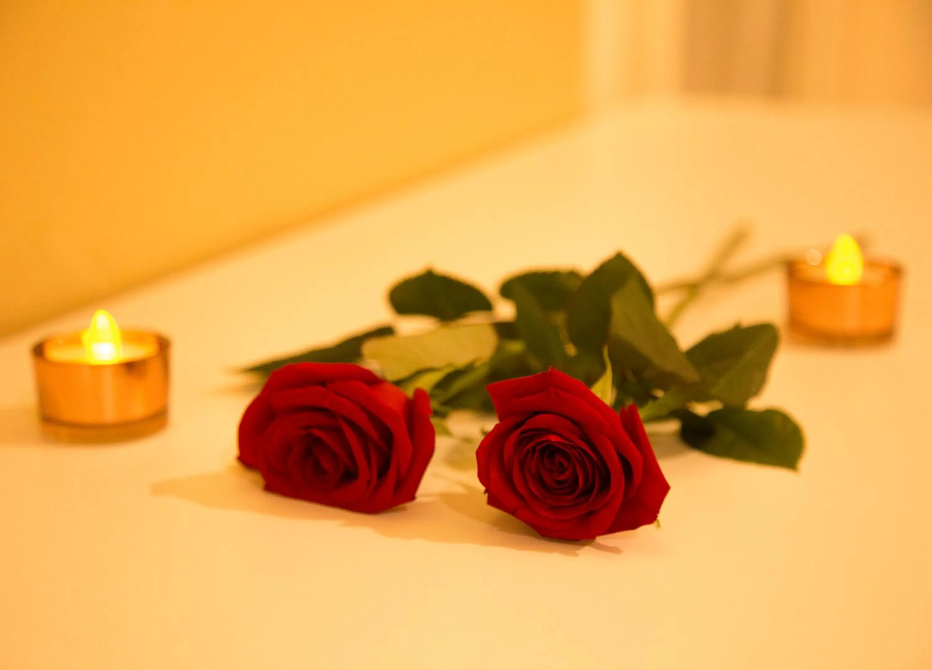 Decorative detail in Bristol Jangada Fortaleza Meirelles