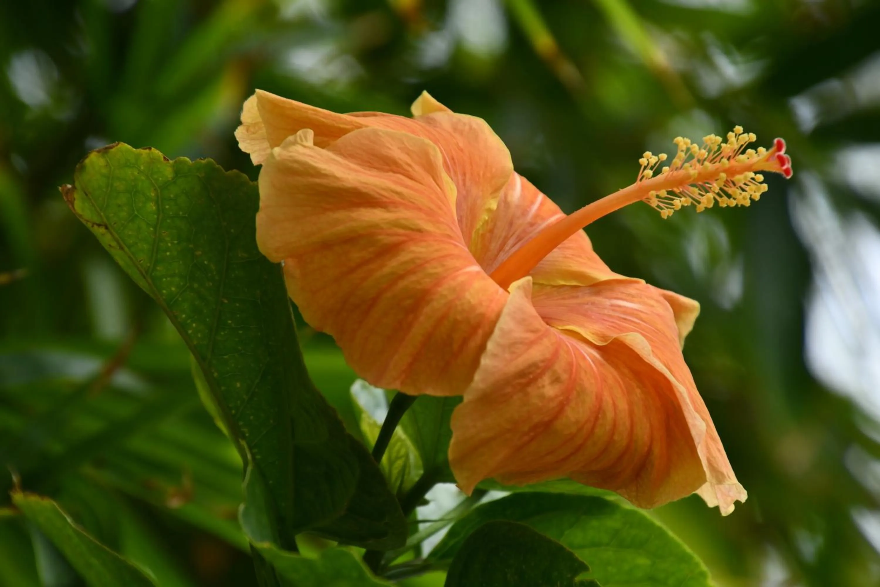 Natural landscape in Hotel Alisei