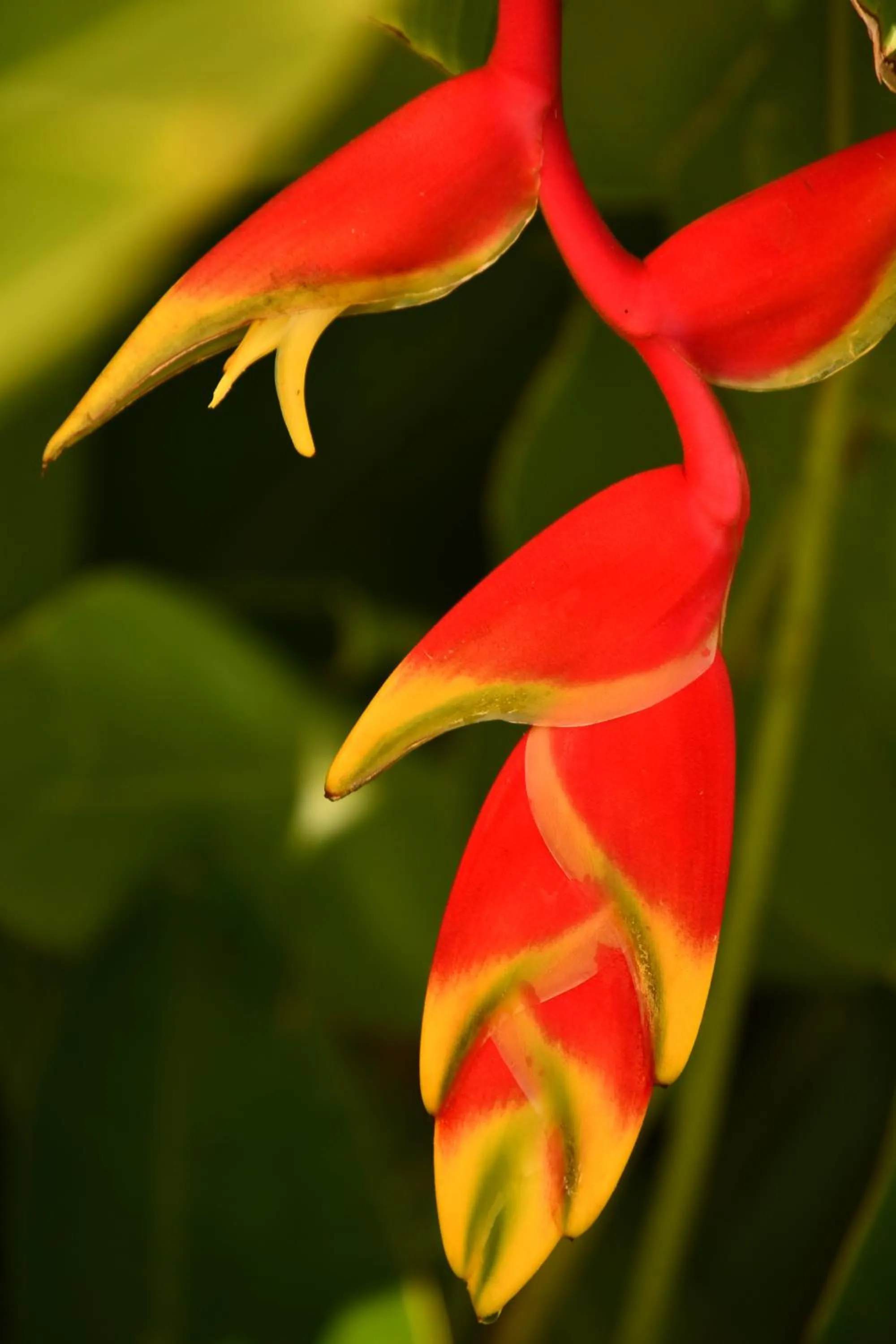 Natural landscape in Hotel Alisei