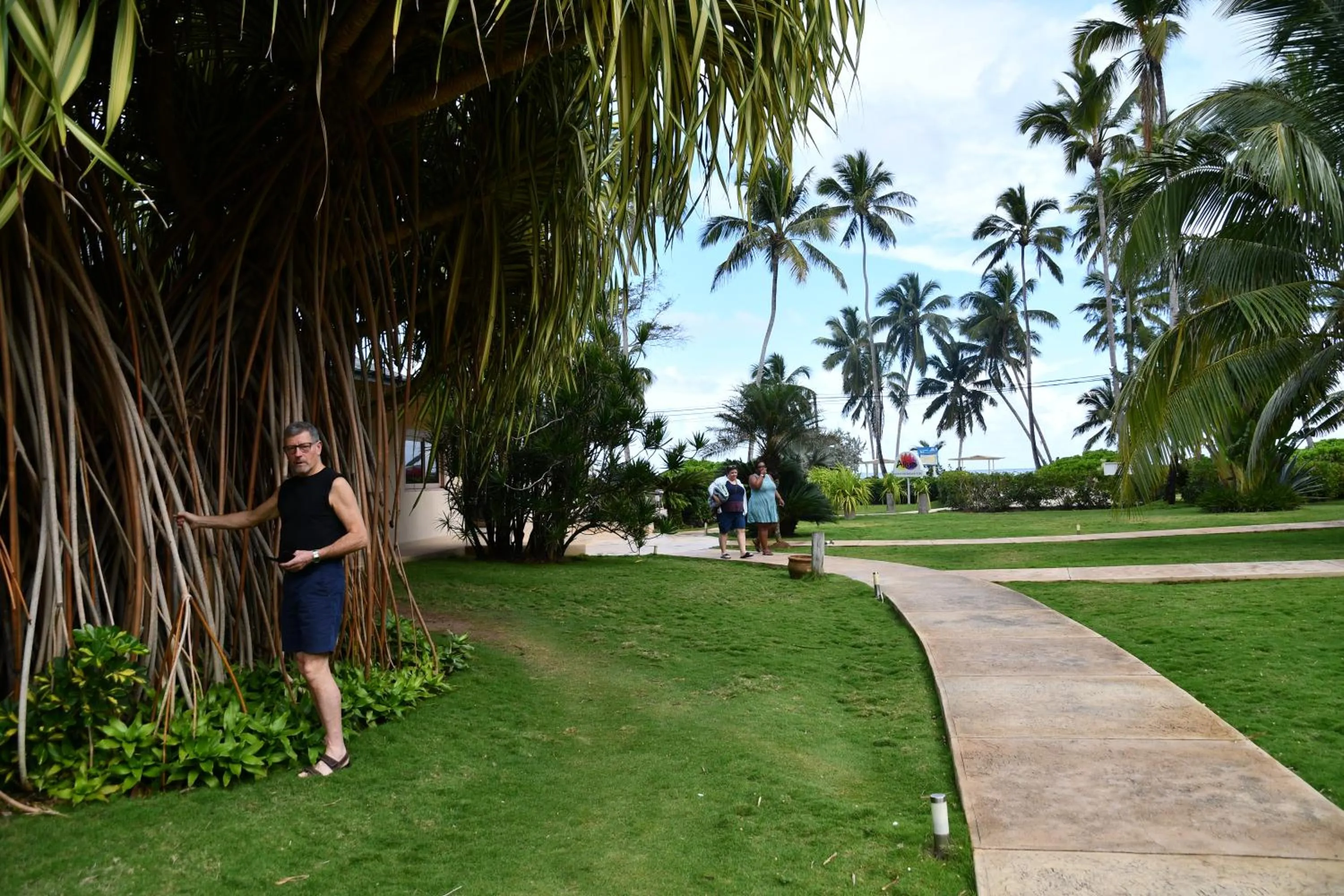 Natural landscape in Hotel Alisei