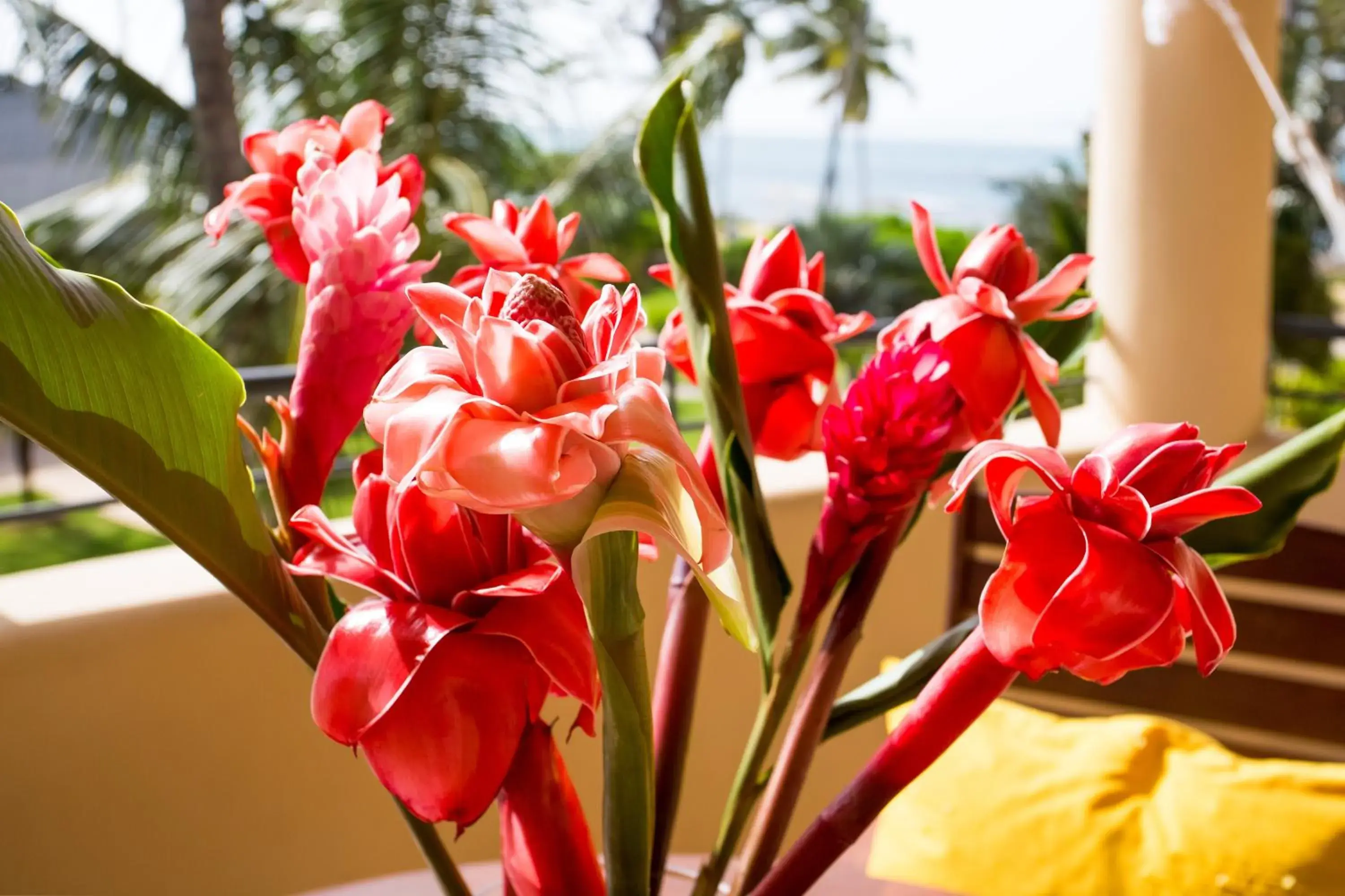 One-Bedroom Apartment in Hotel Alisei One-Bedroom Apartment in Hotel Alisei