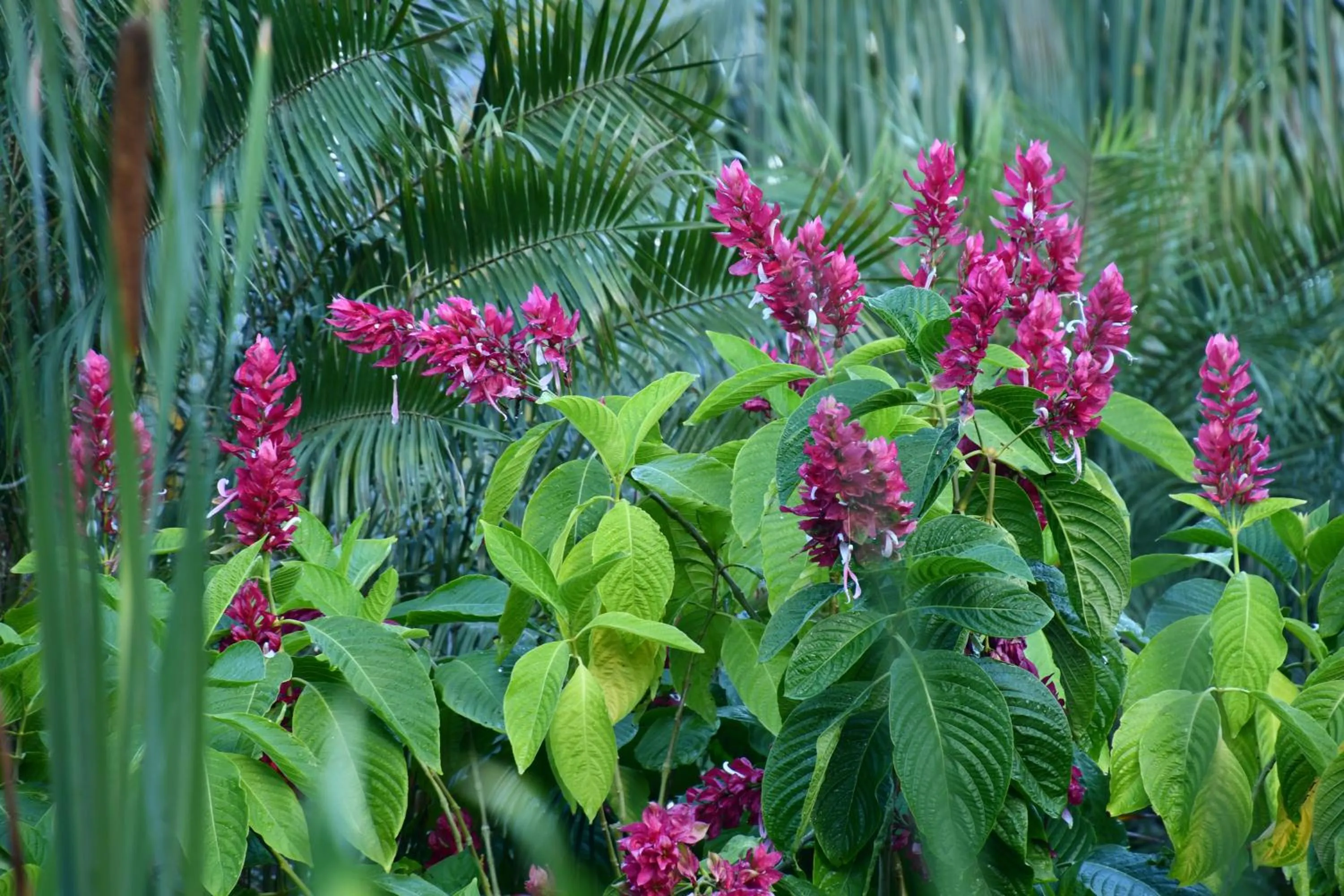 Natural landscape in Hotel Alisei