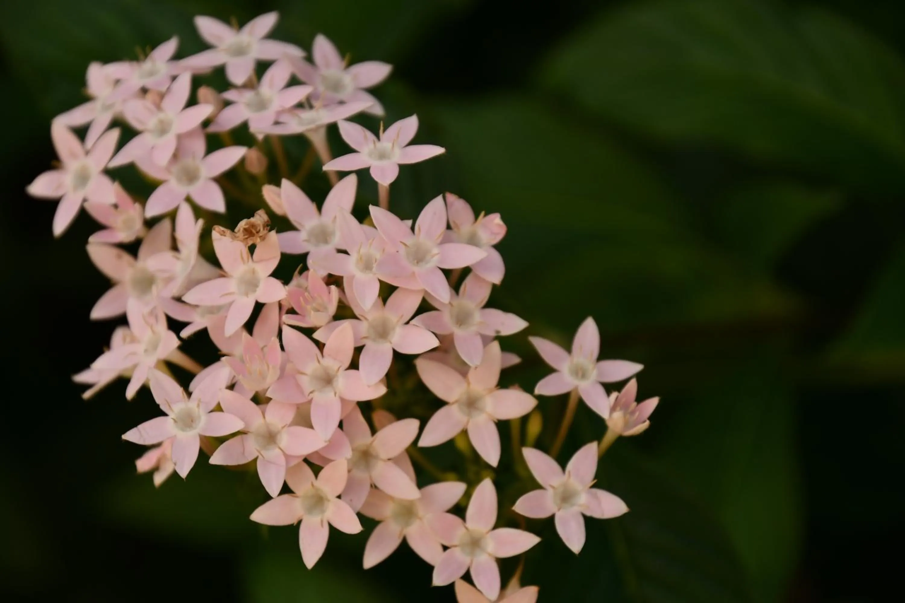 Natural landscape in Hotel Alisei