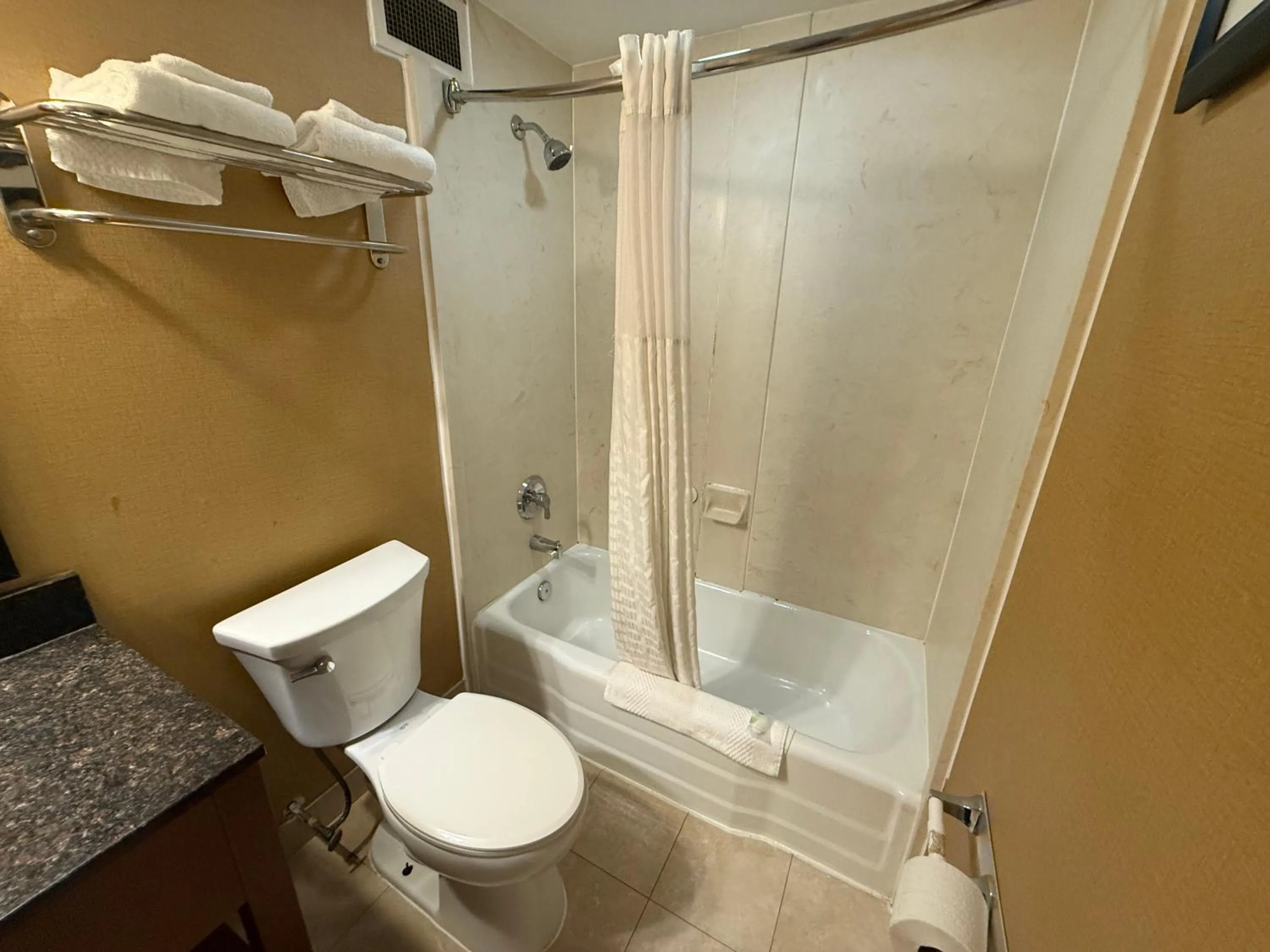 Toilet in Hotel Hanna