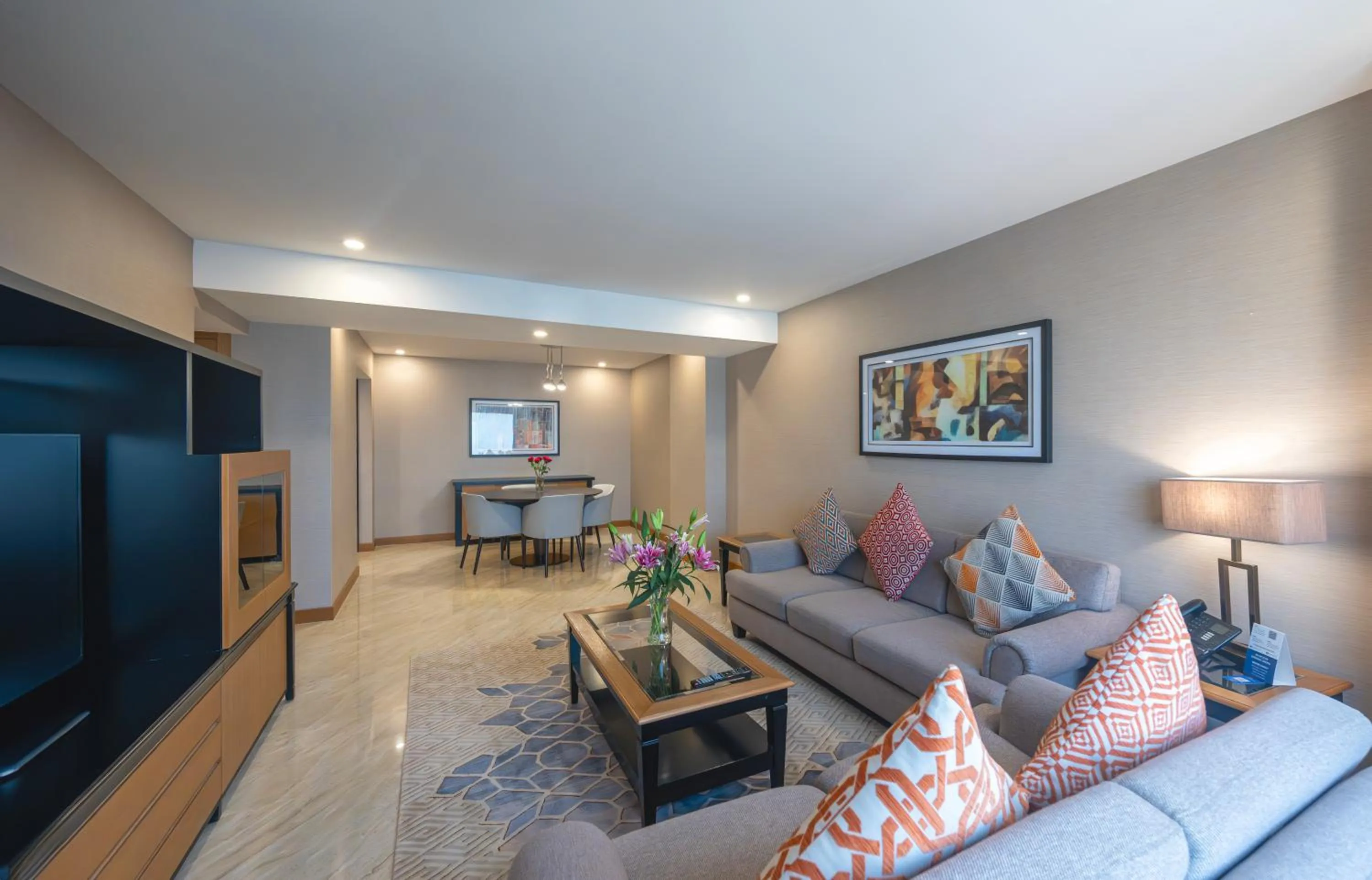 TV and multimedia in Hyatt Regency Galleria Residence Dubai