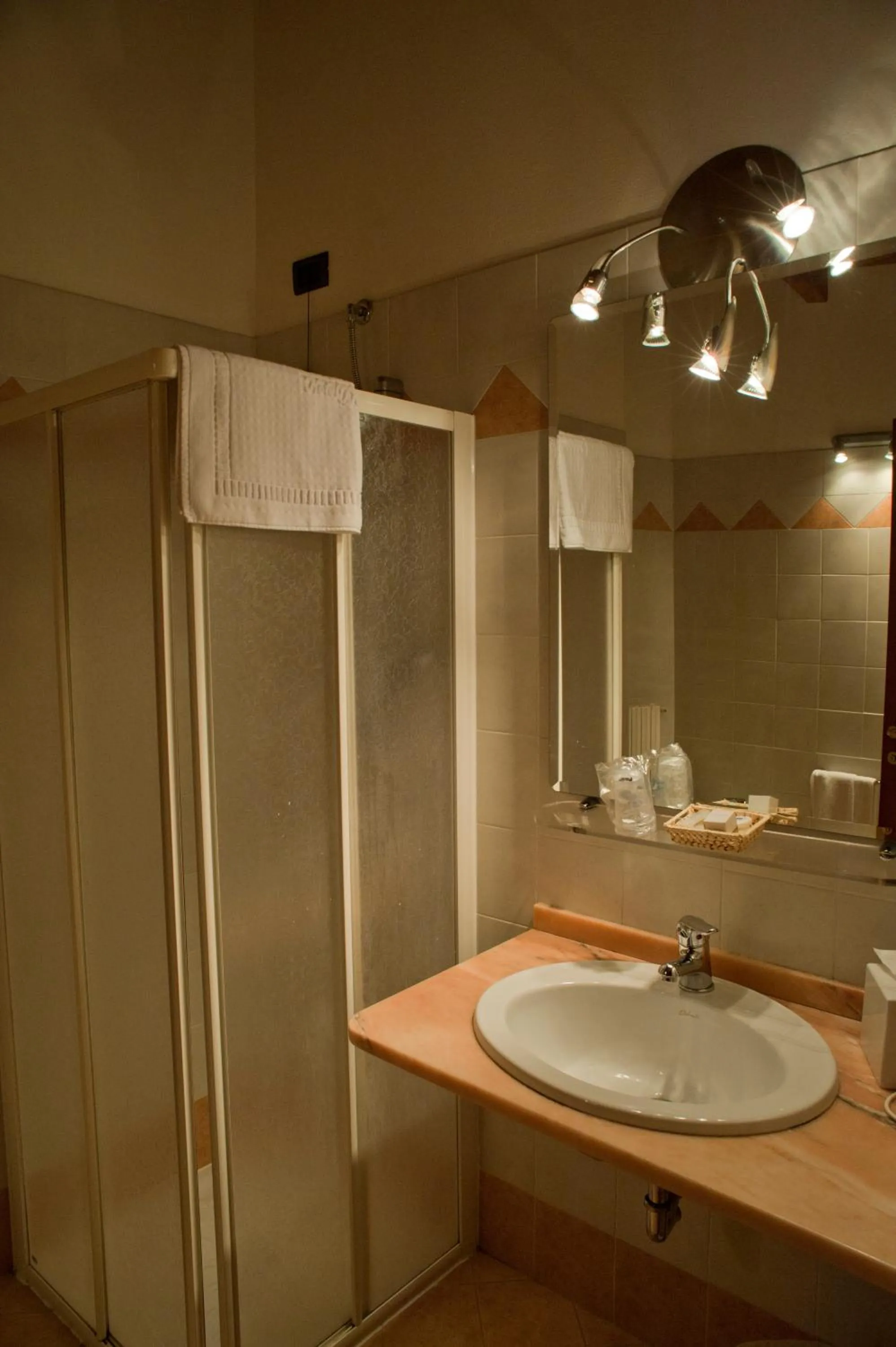 Bathroom in Hotel Due Palme