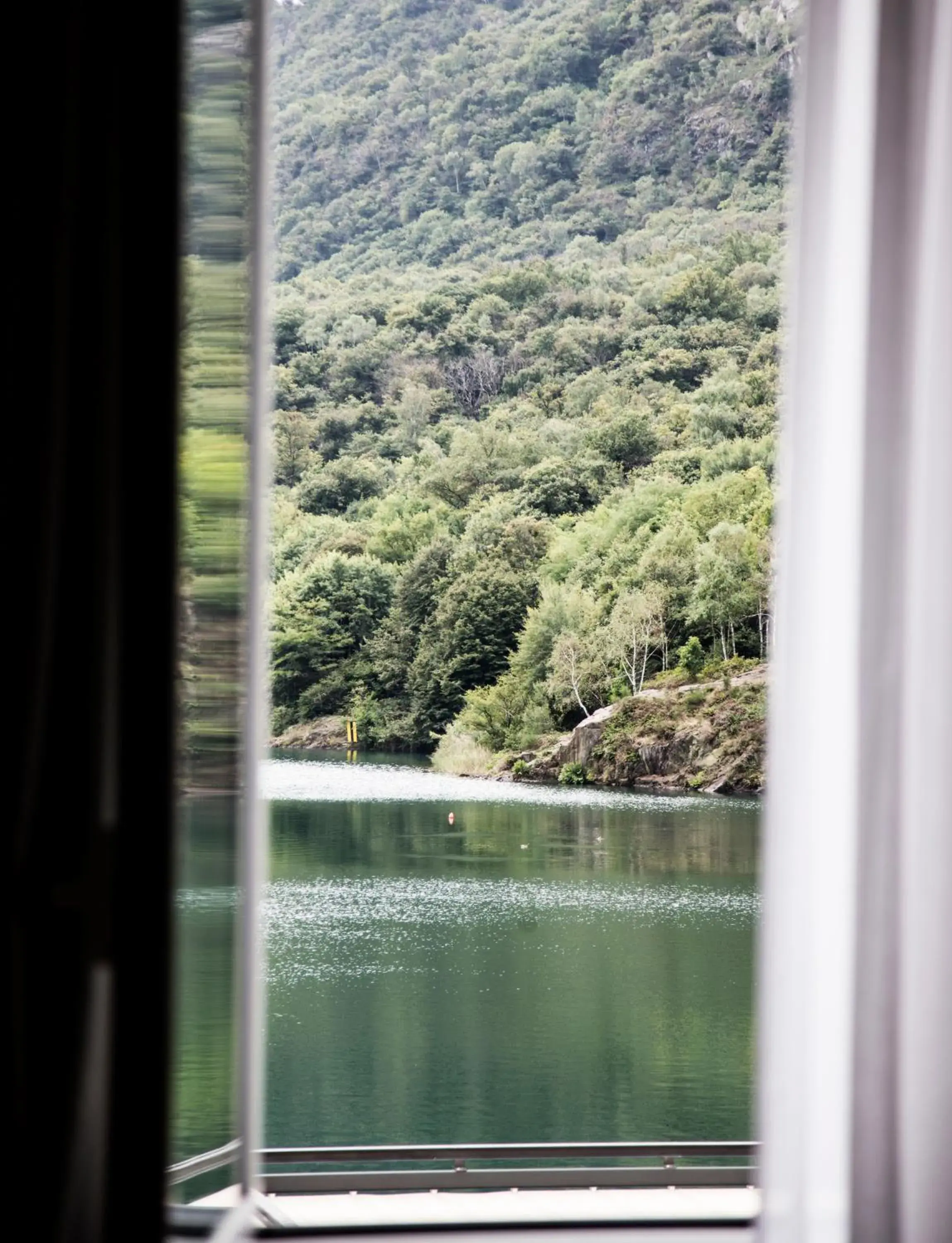 Double or Twin Room with Lake View in Hotel Due Palme Double or Twin Room with Lake View in Hotel Due Palme