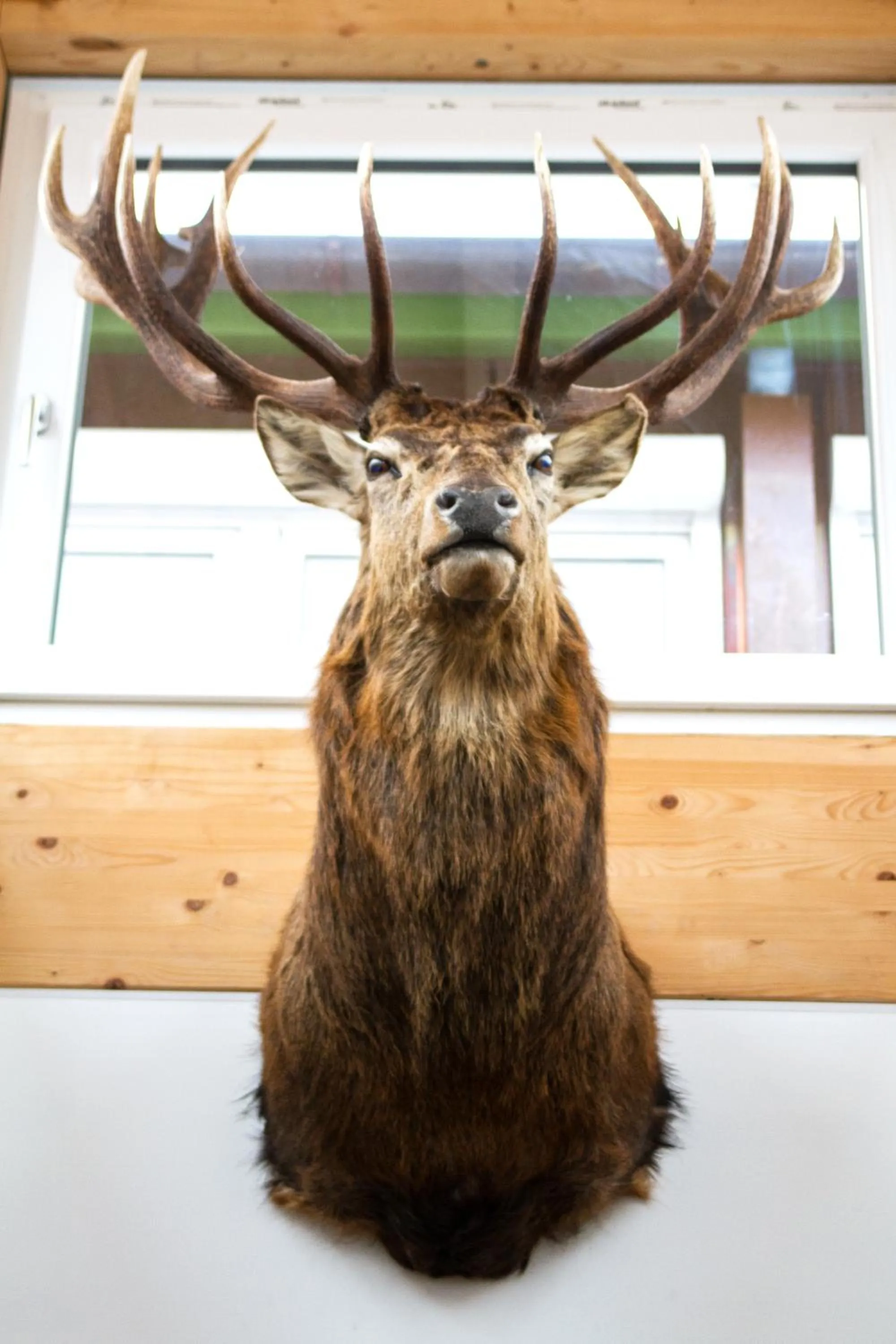 Lobby or reception in Hotel Hofgut Tiergarten