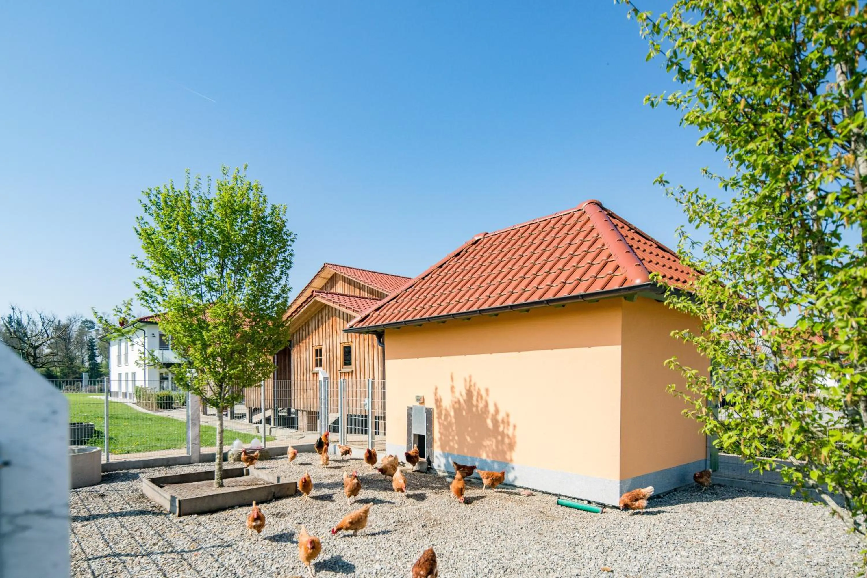 Facade/entrance in Hotel Hofgut Tiergarten