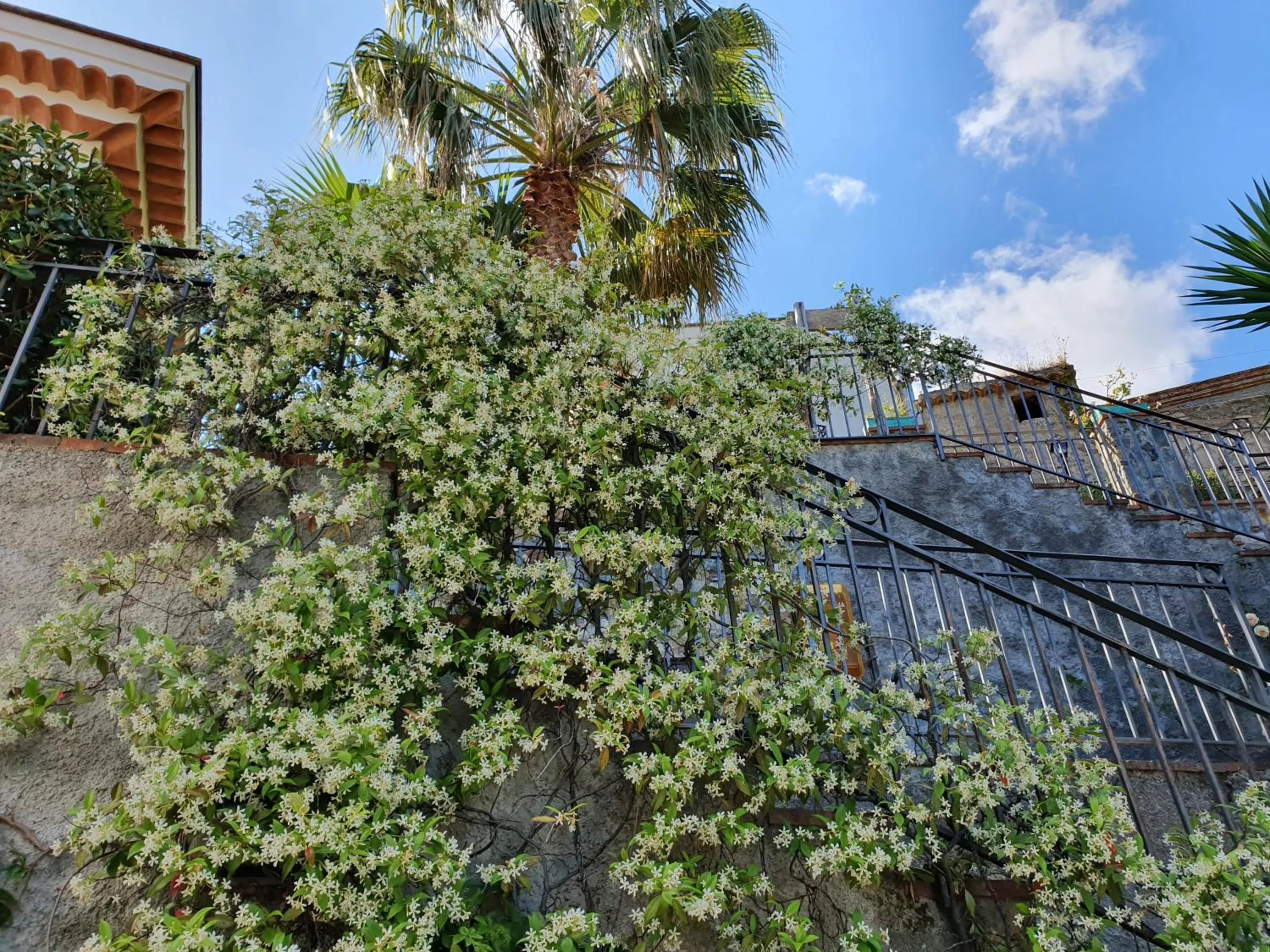 Property building in Borgo San Francesco