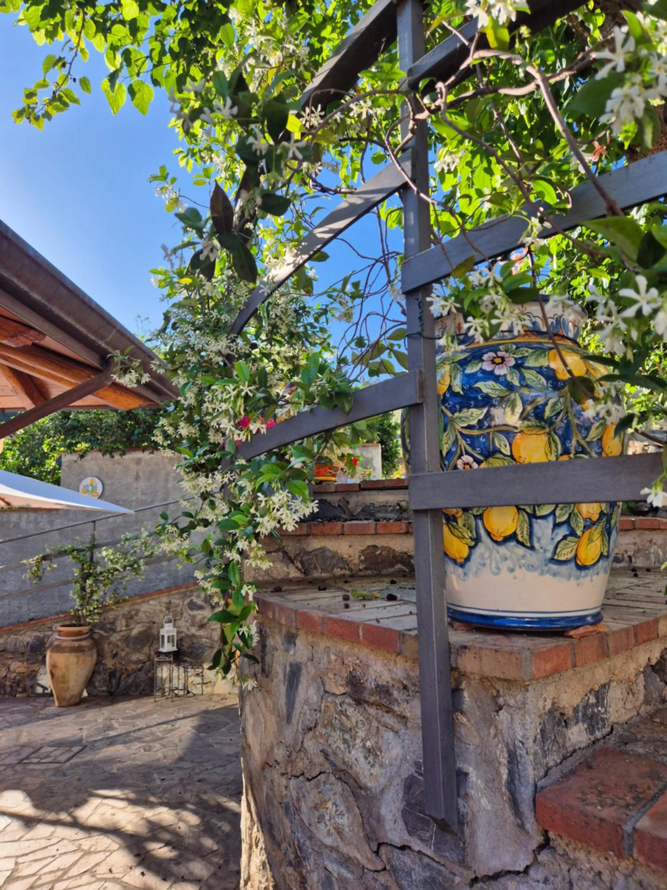 Garden in Borgo San Francesco
