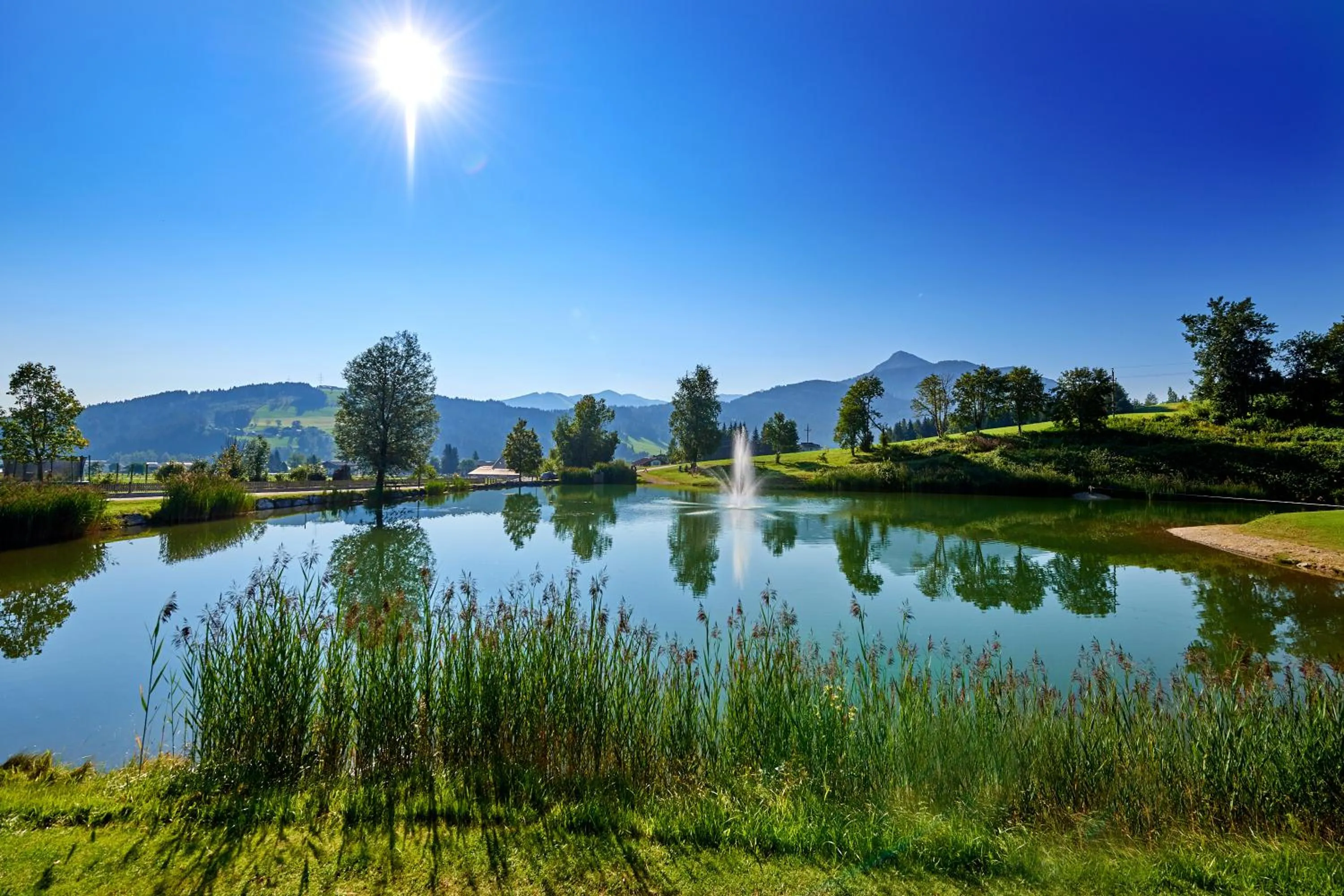 Natural landscape in Sonnberg Ferienanlage