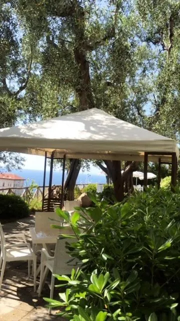 Garden in Hotel Villa Pina Antico Francischiello