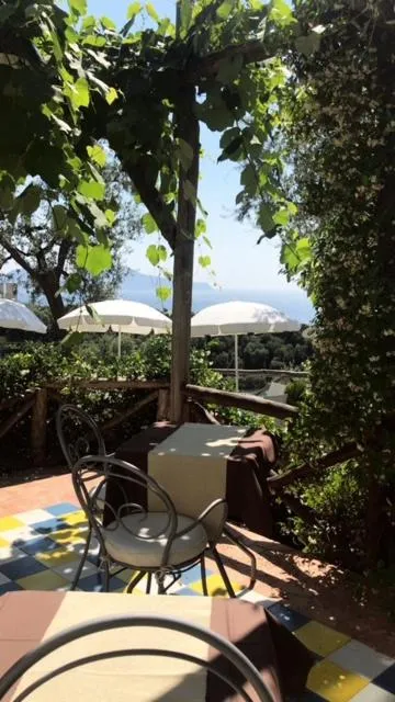 Garden in Hotel Villa Pina Antico Francischiello