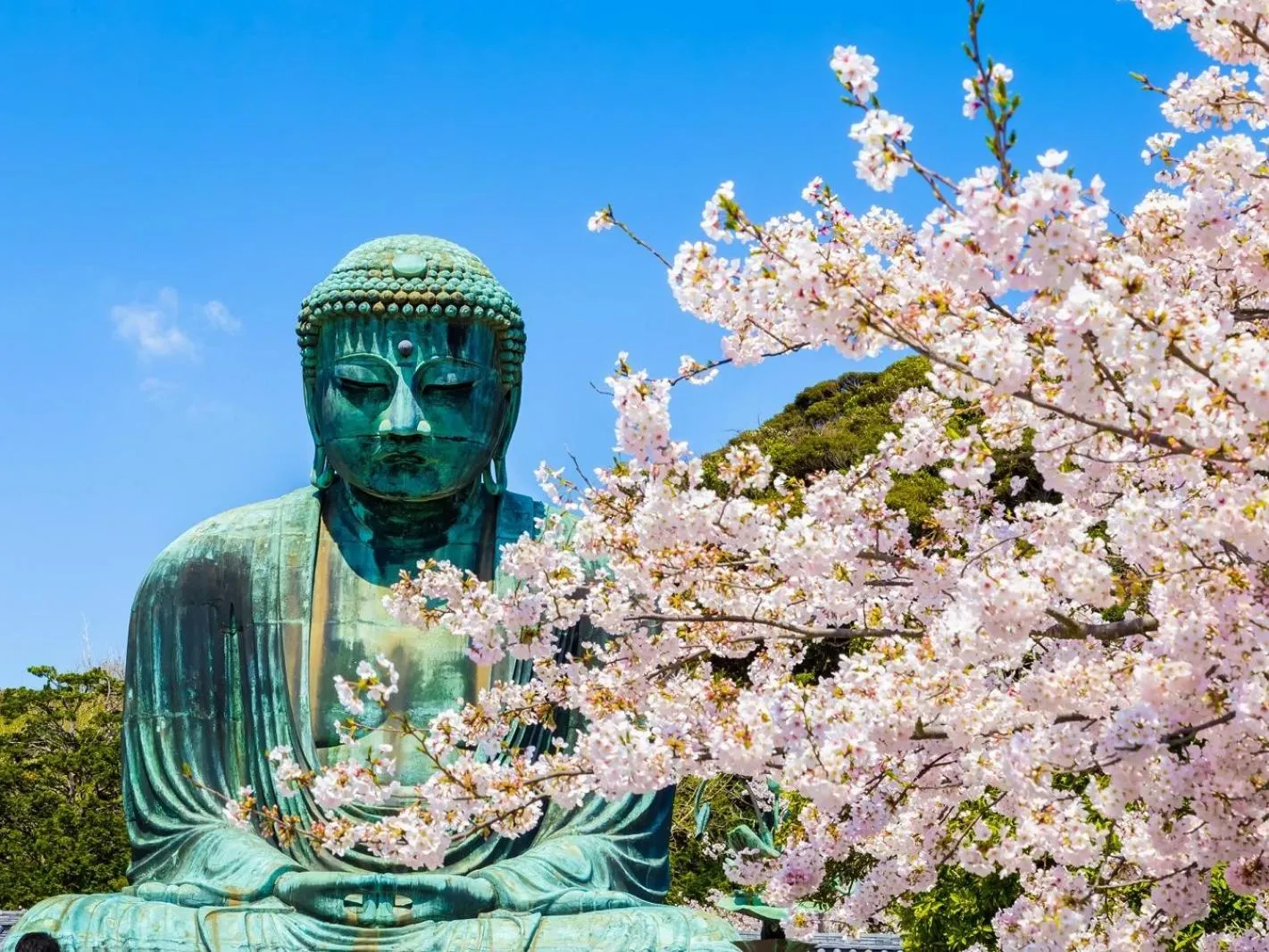 Nearby landmark in WeBase KAMAKURA