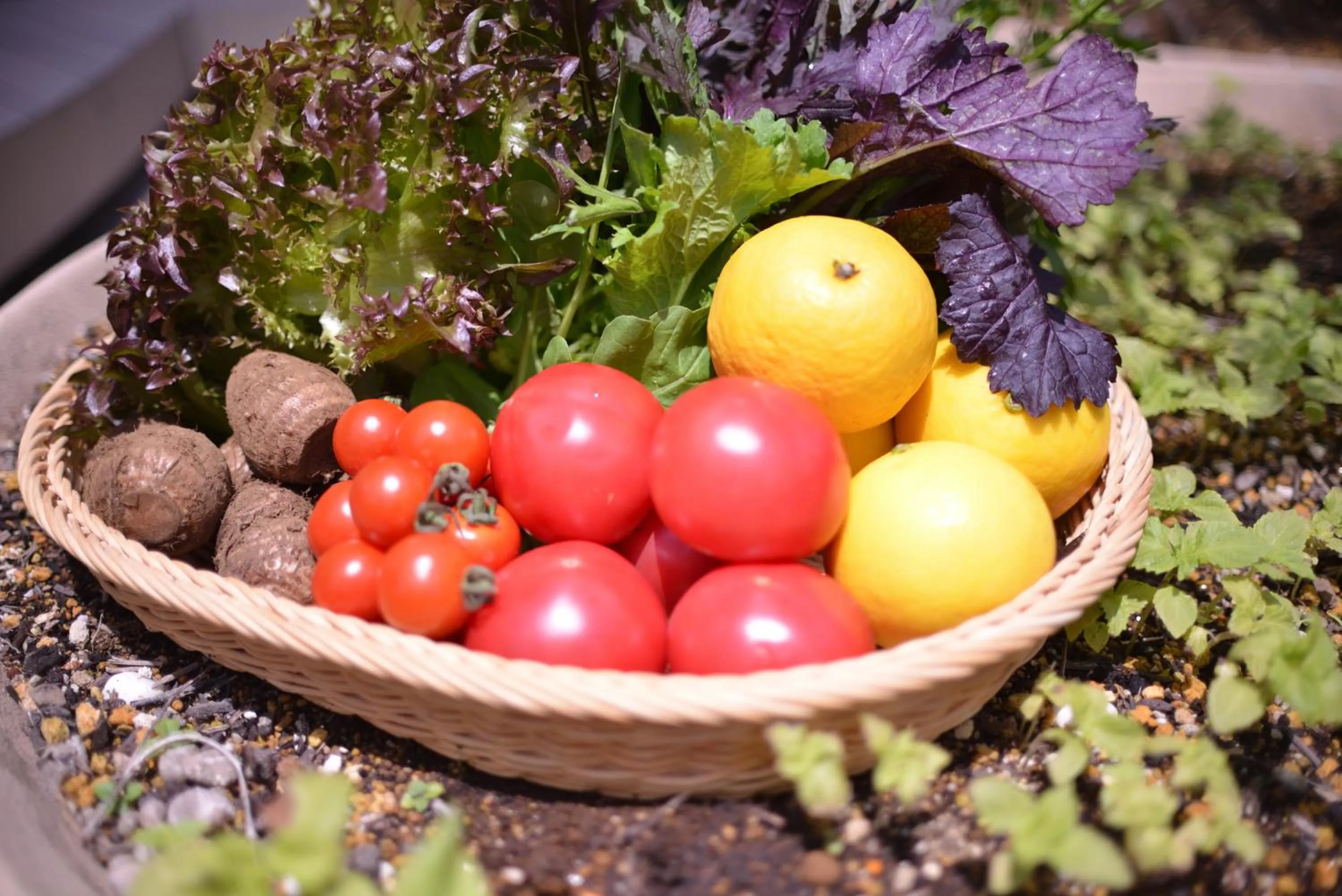 Food and drinks in WeBase KAMAKURA