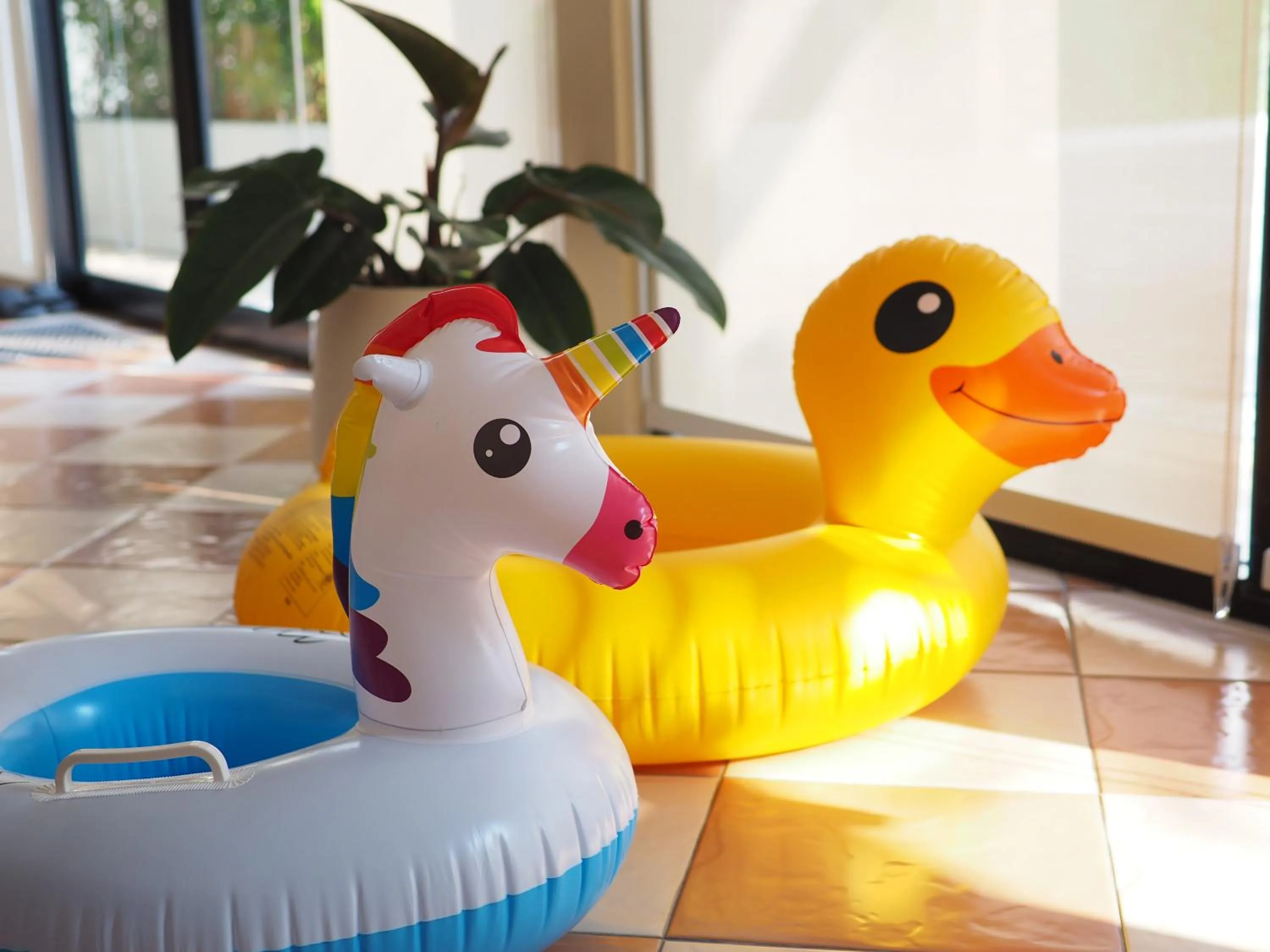 Area and facilities in Mangoes Pattaya