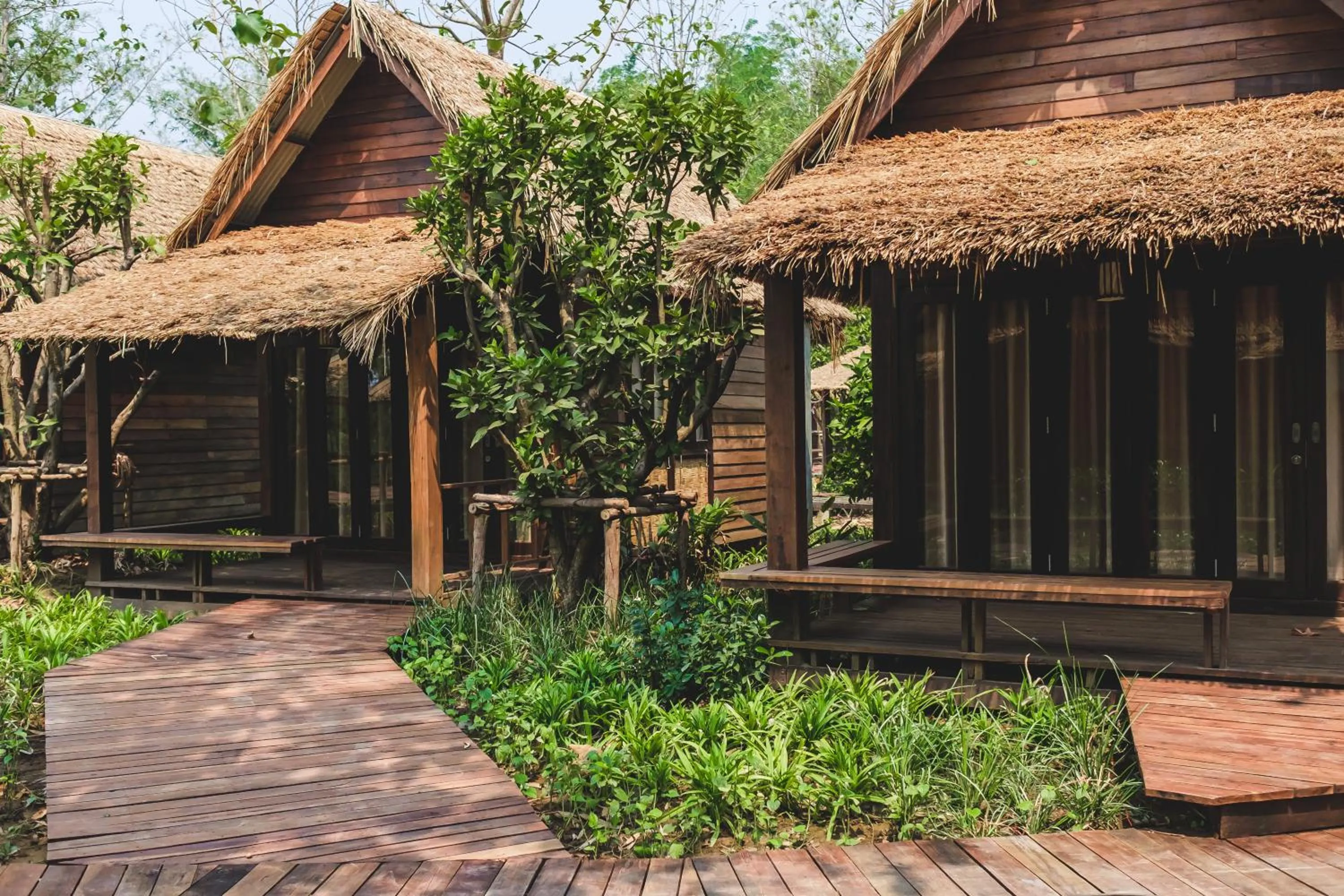 Day in Azalea Village