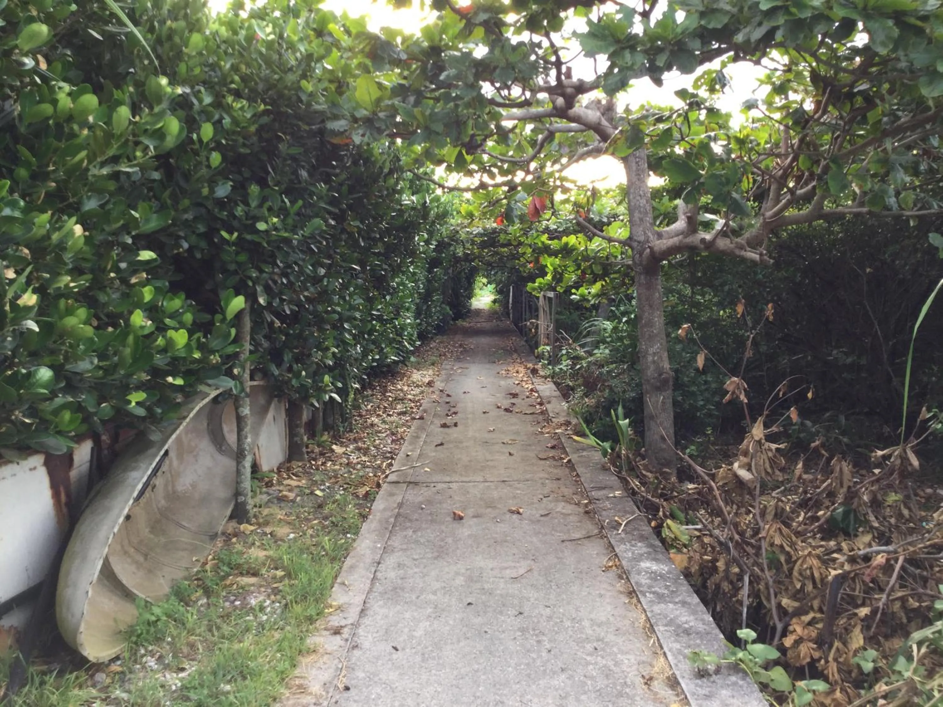 Natural landscape in Arimabaru Beach Resort