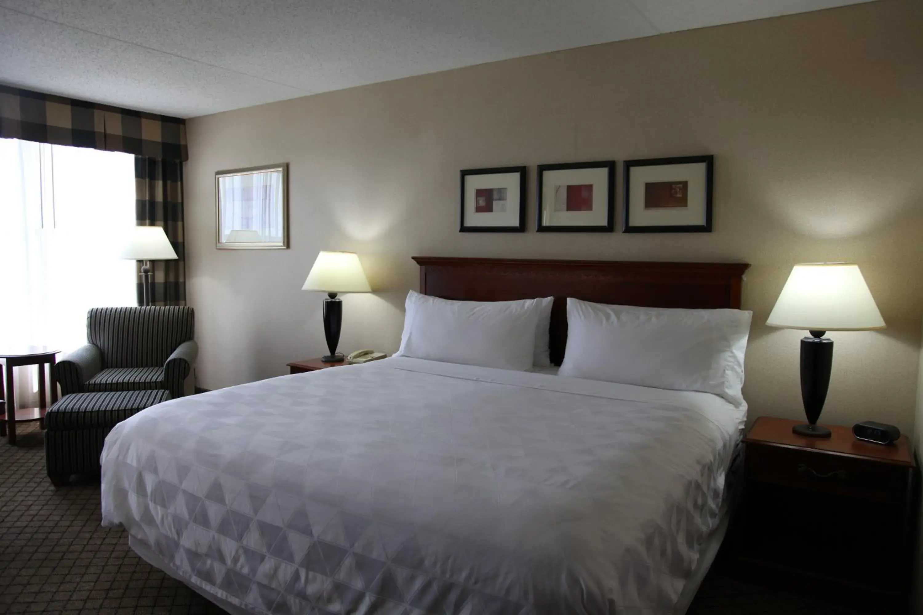Standard Room in Holiday Inn Dayton/Fairborn I-675, an IHG Hotel Standard Room in Holiday Inn Dayton/Fairborn I-675, an IHG Hotel