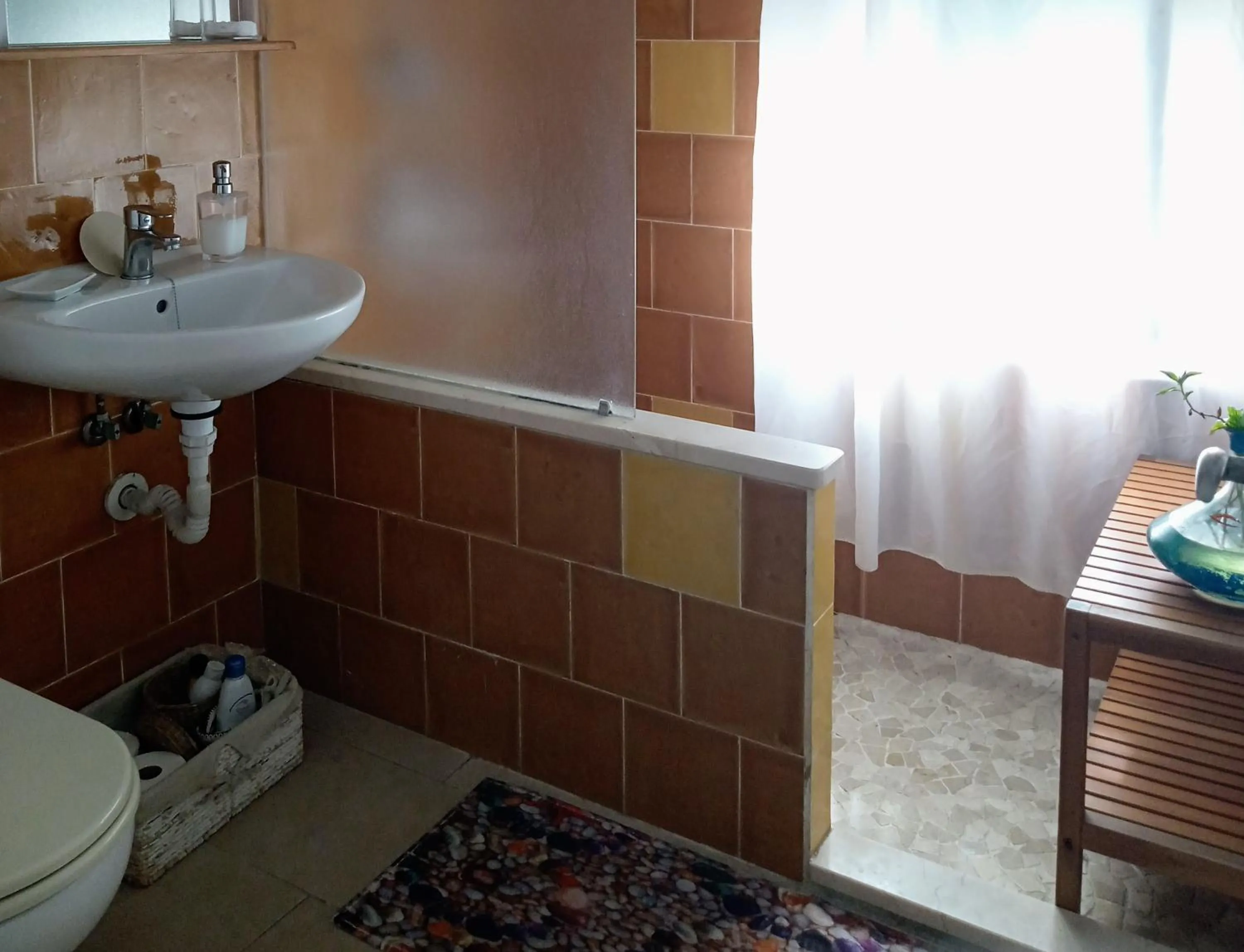 Shower in Apartamento San Agustín