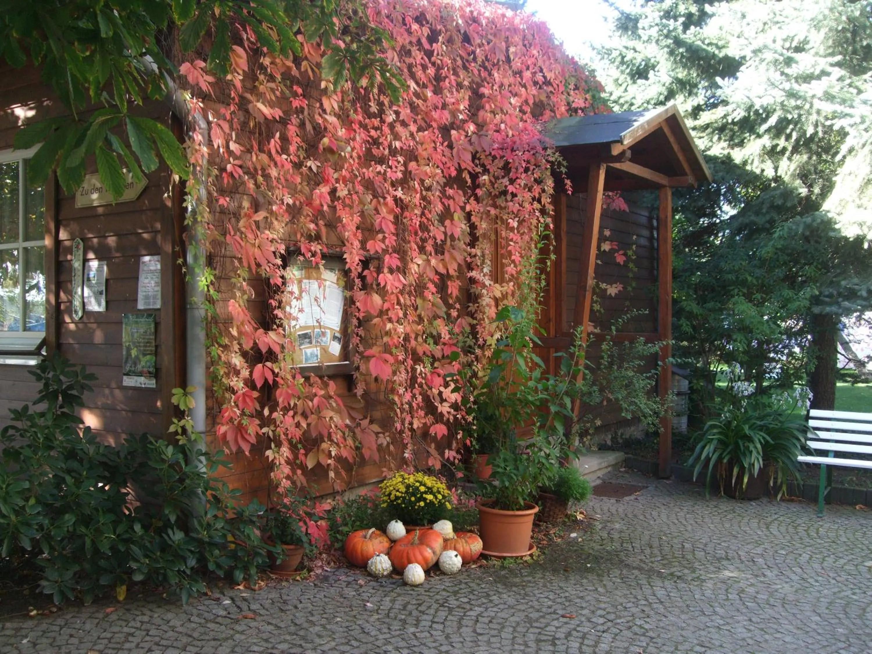 Facade/entrance in Jägerheim Löbsal