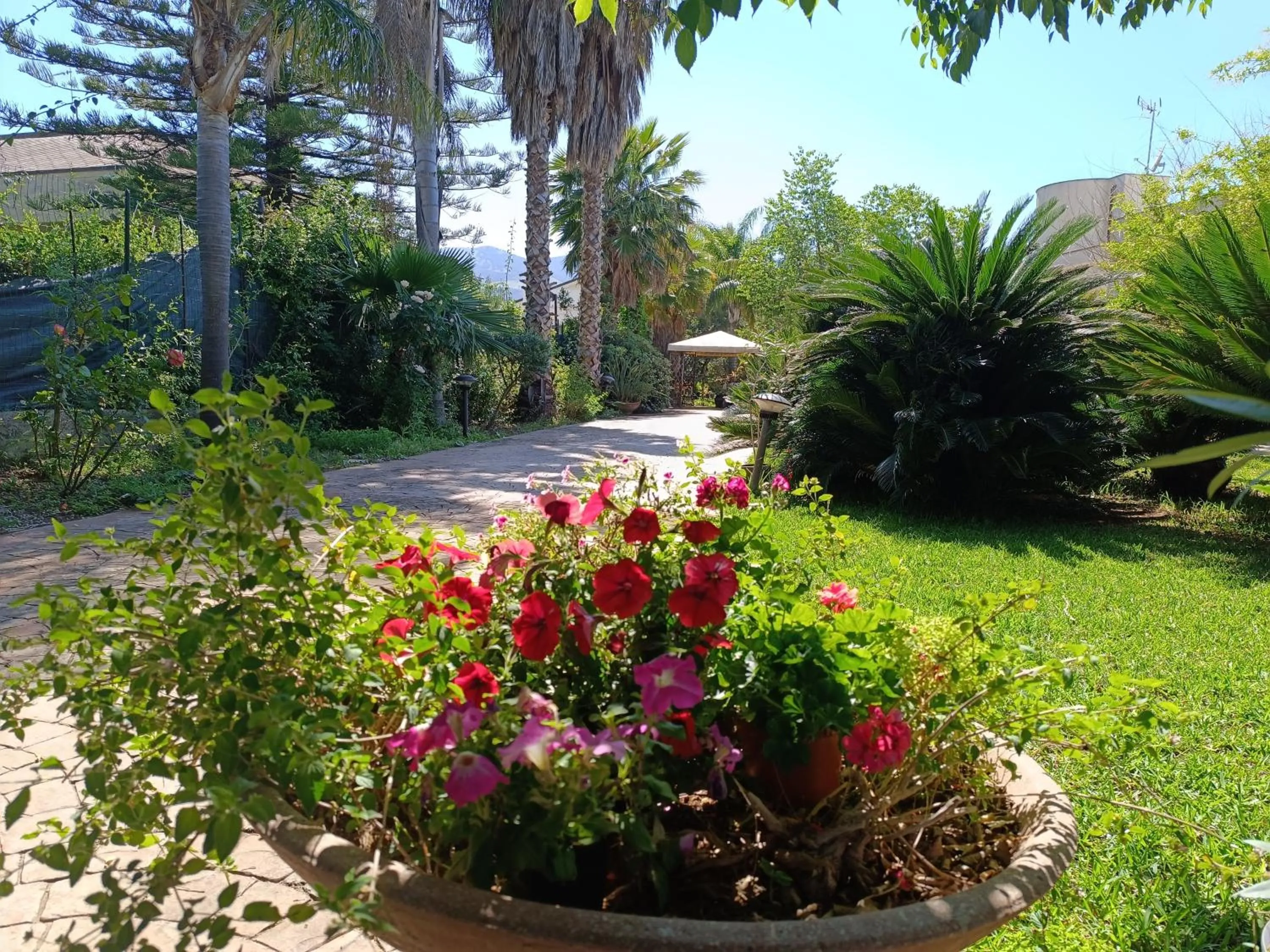 Garden in B & B Villa Flora