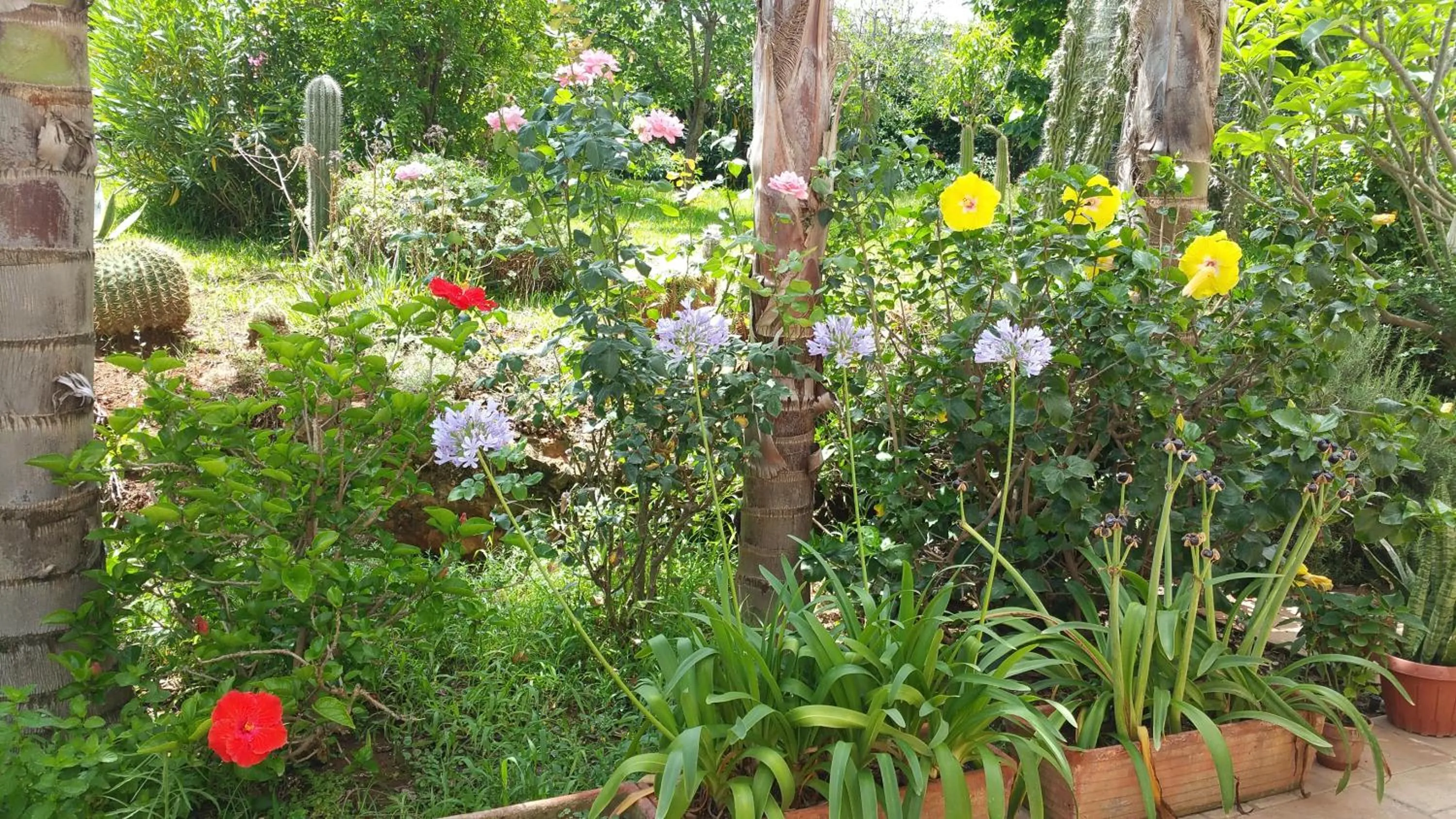 Decorative detail in B & B Villa Flora