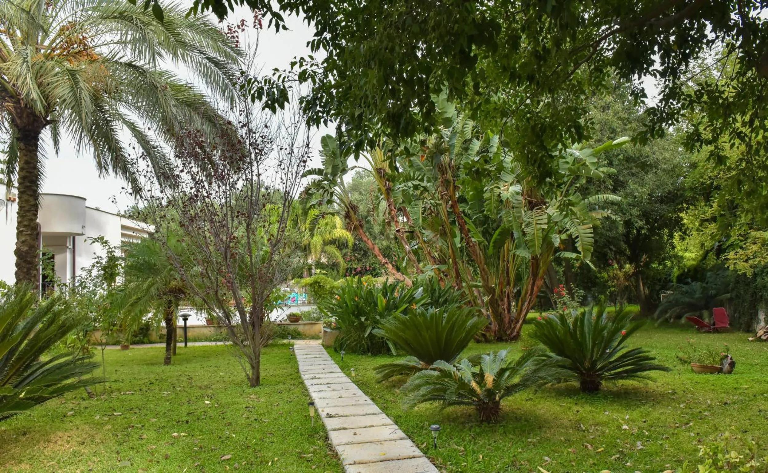 Garden in B & B Villa Flora