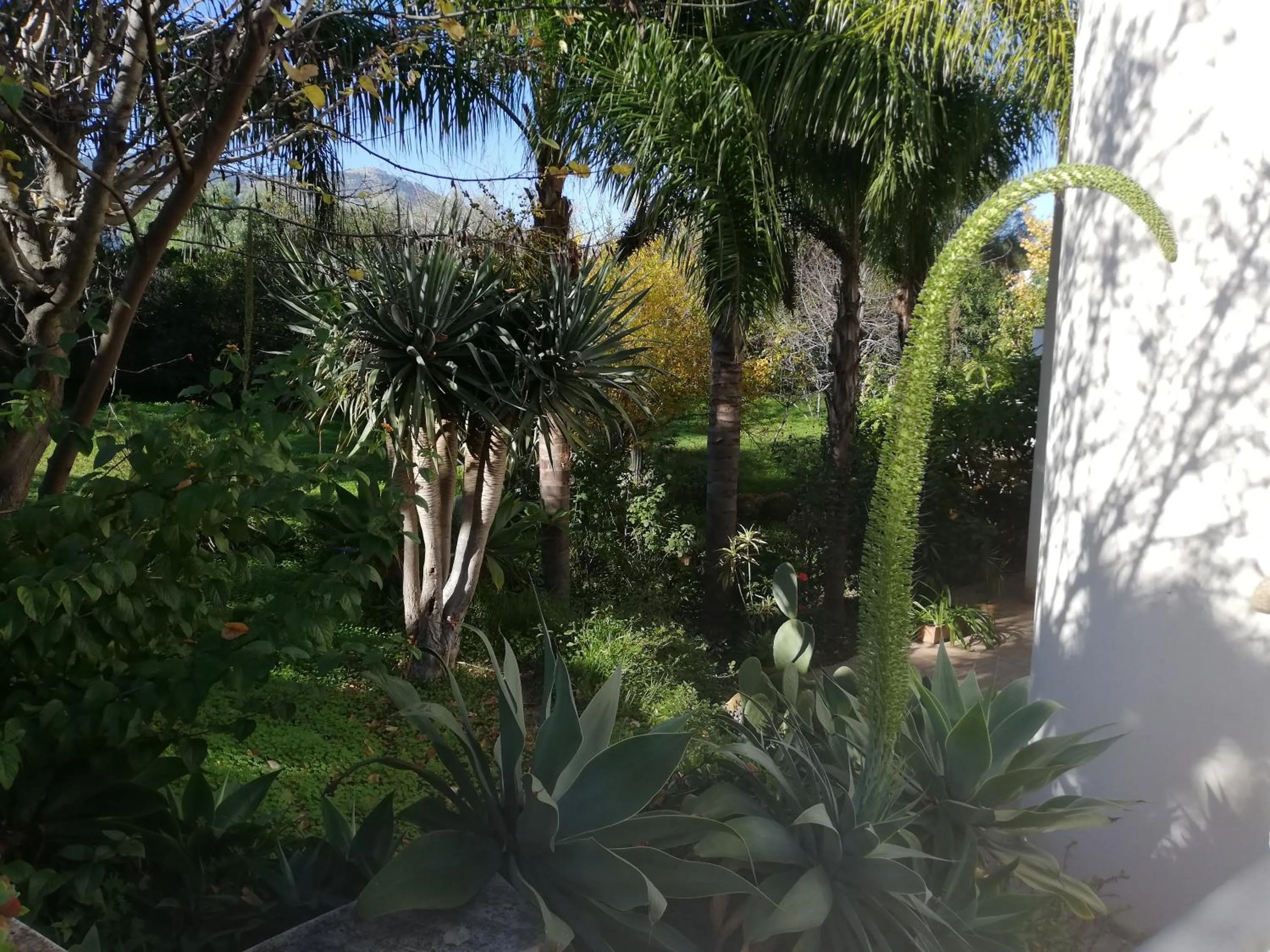 Garden view in B & B Villa Flora