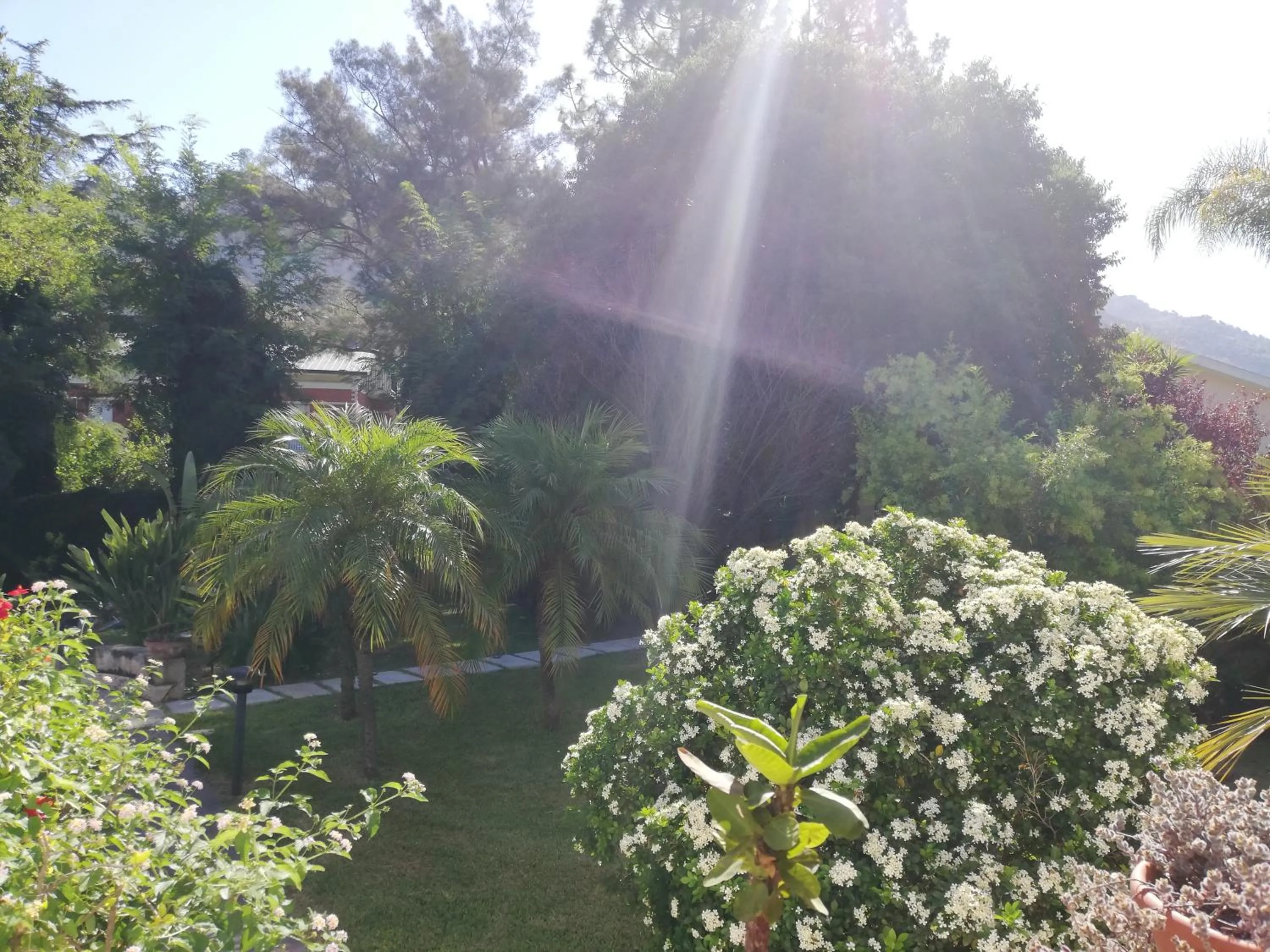 Garden view in B & B Villa Flora