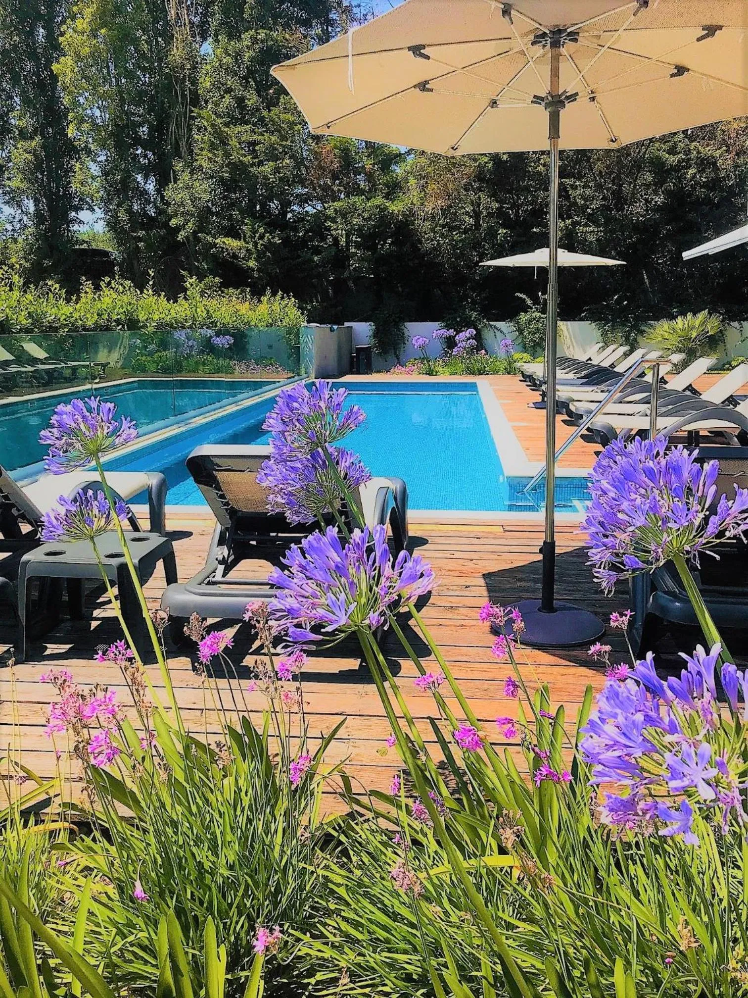 Rooms Oasis Life
